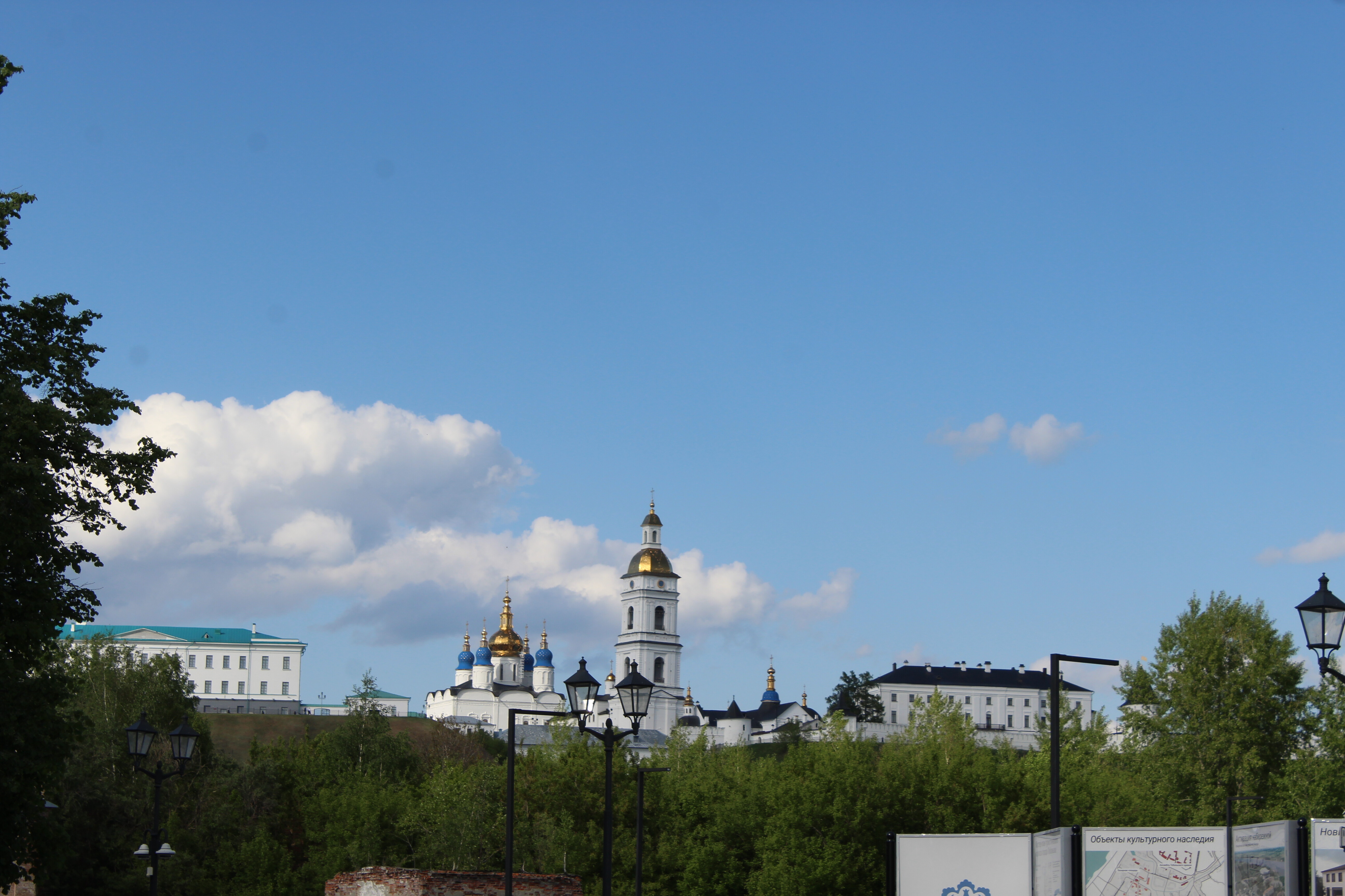 IMG_6457.jpg