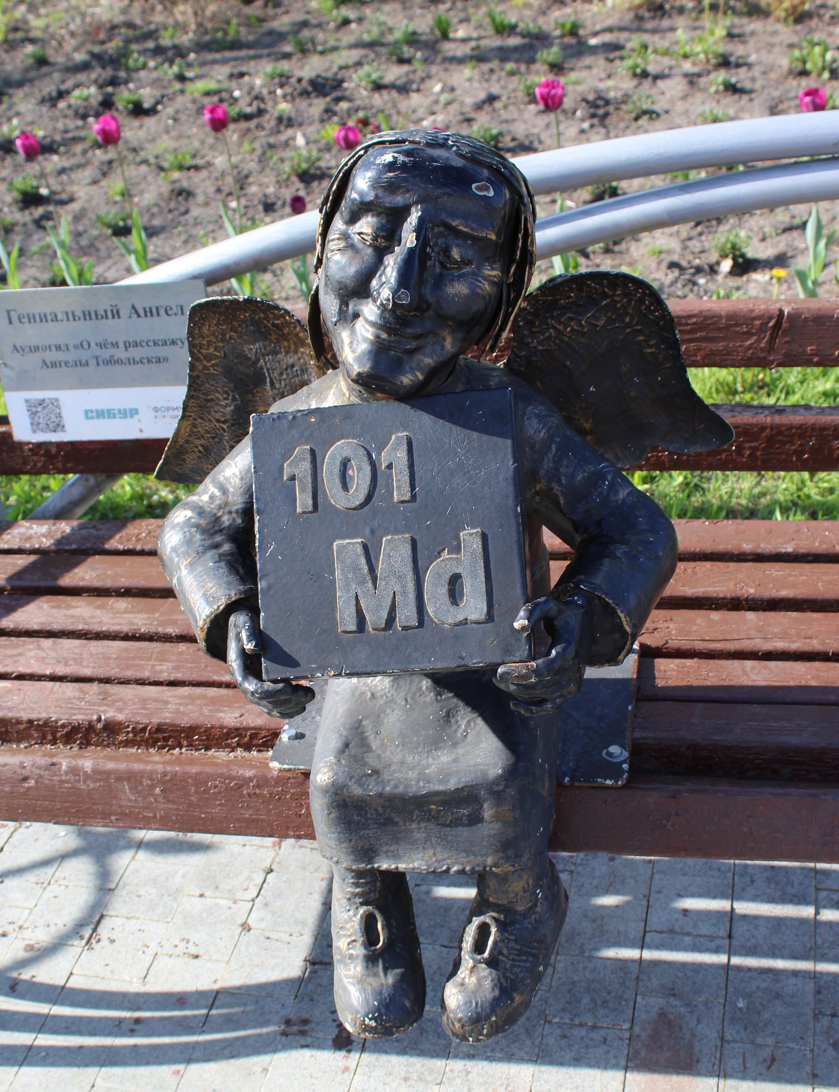 IMG_6463.jpg