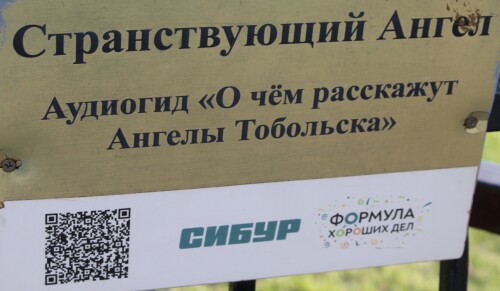 IMG_6514.md.jpg