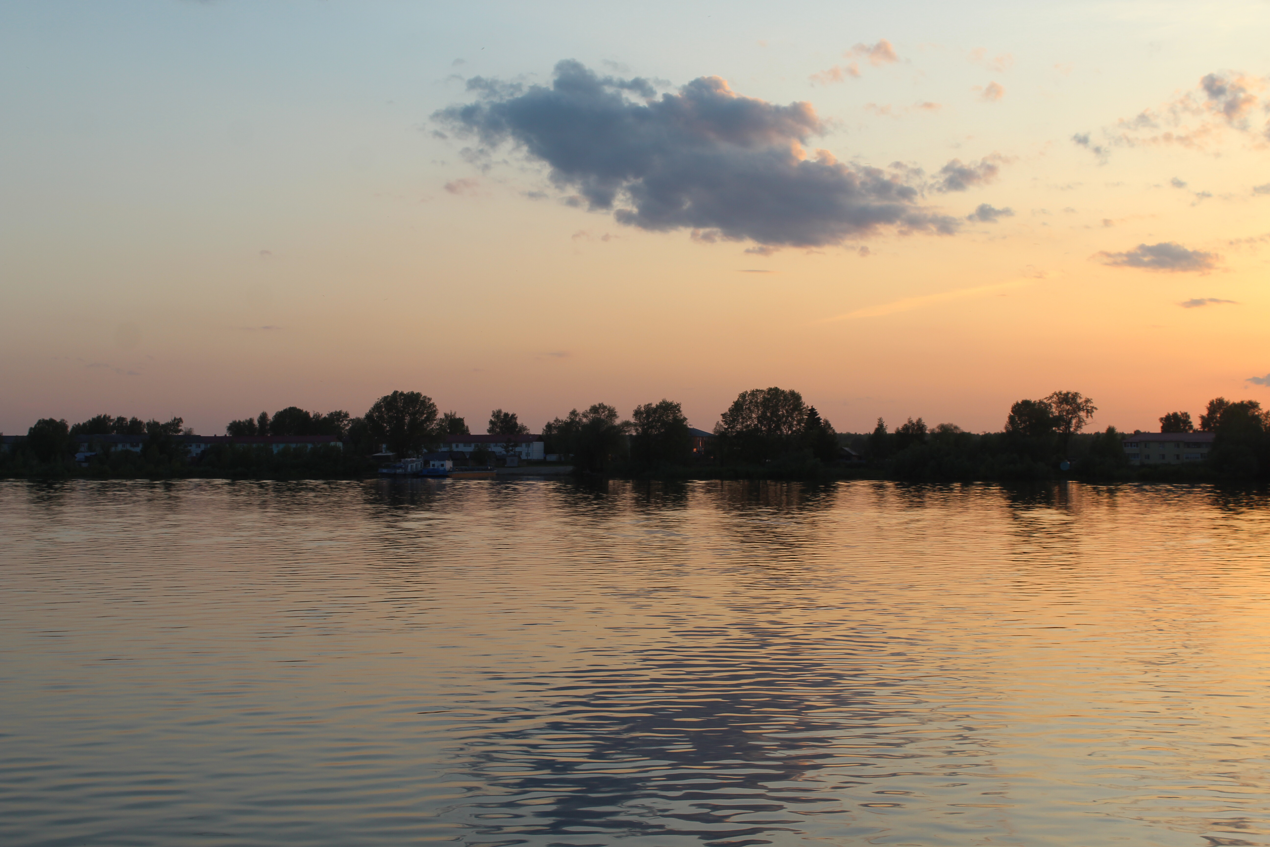 IMG_6531.jpg