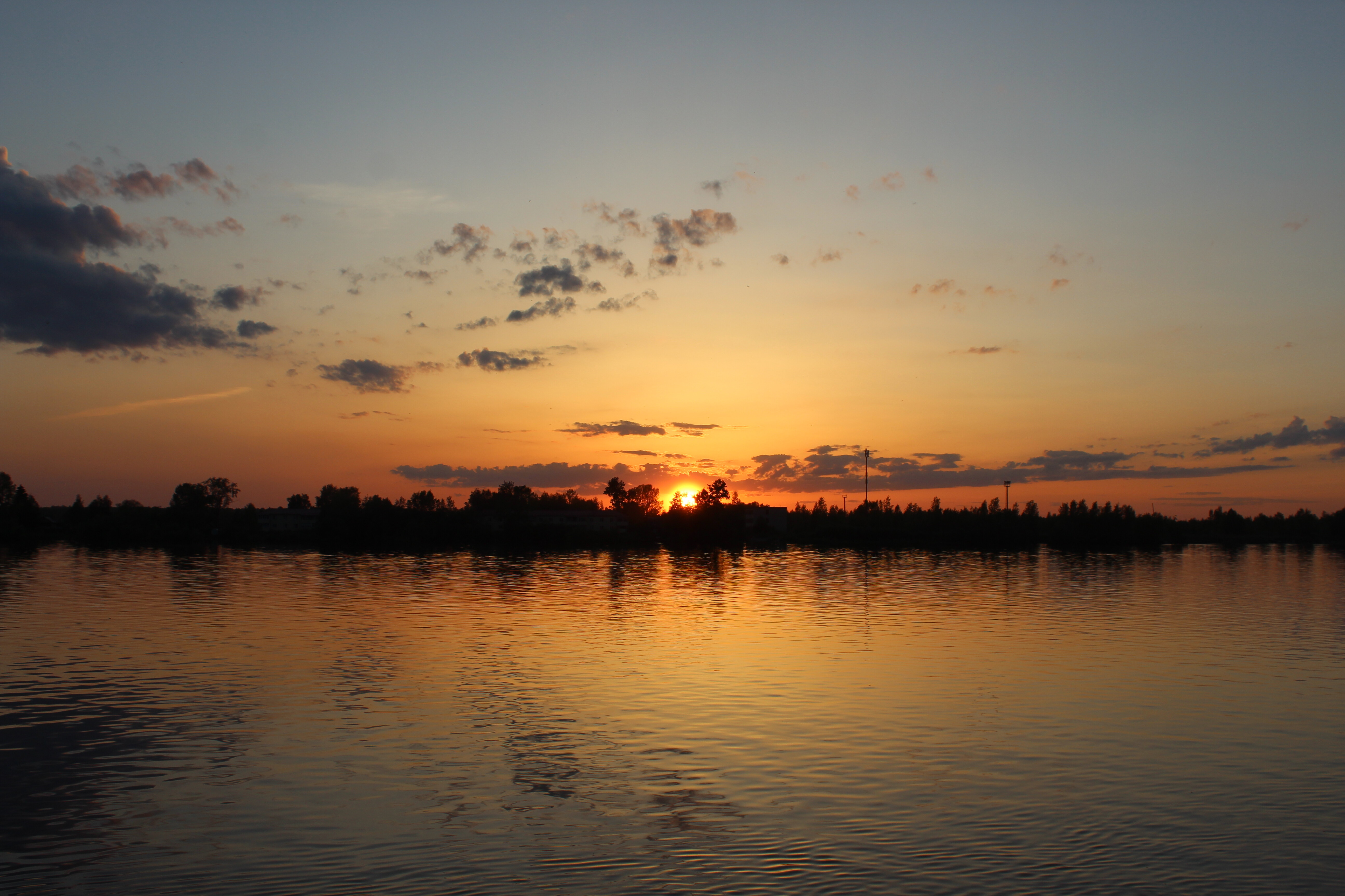 IMG_6542.jpg