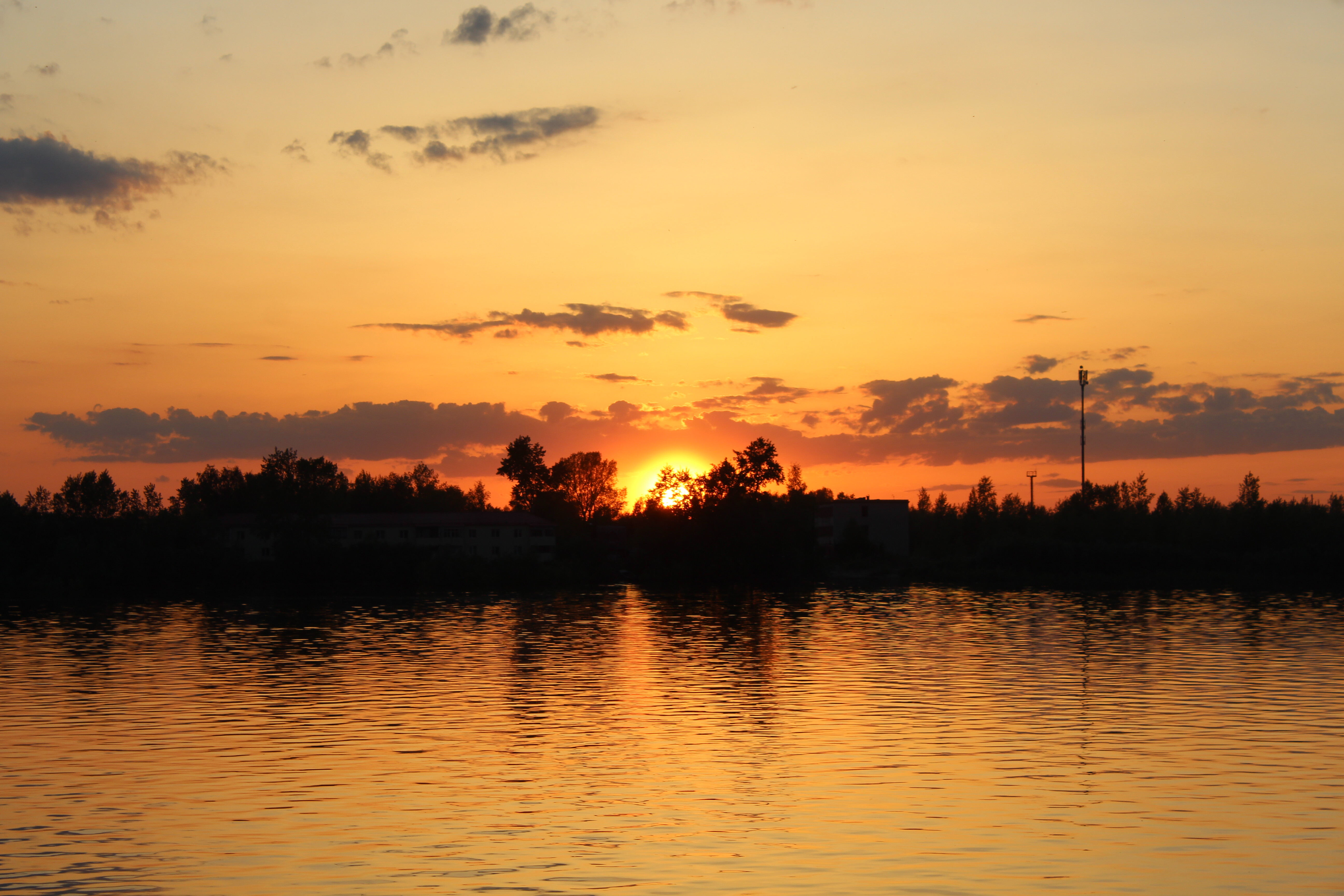 IMG_6544.jpg