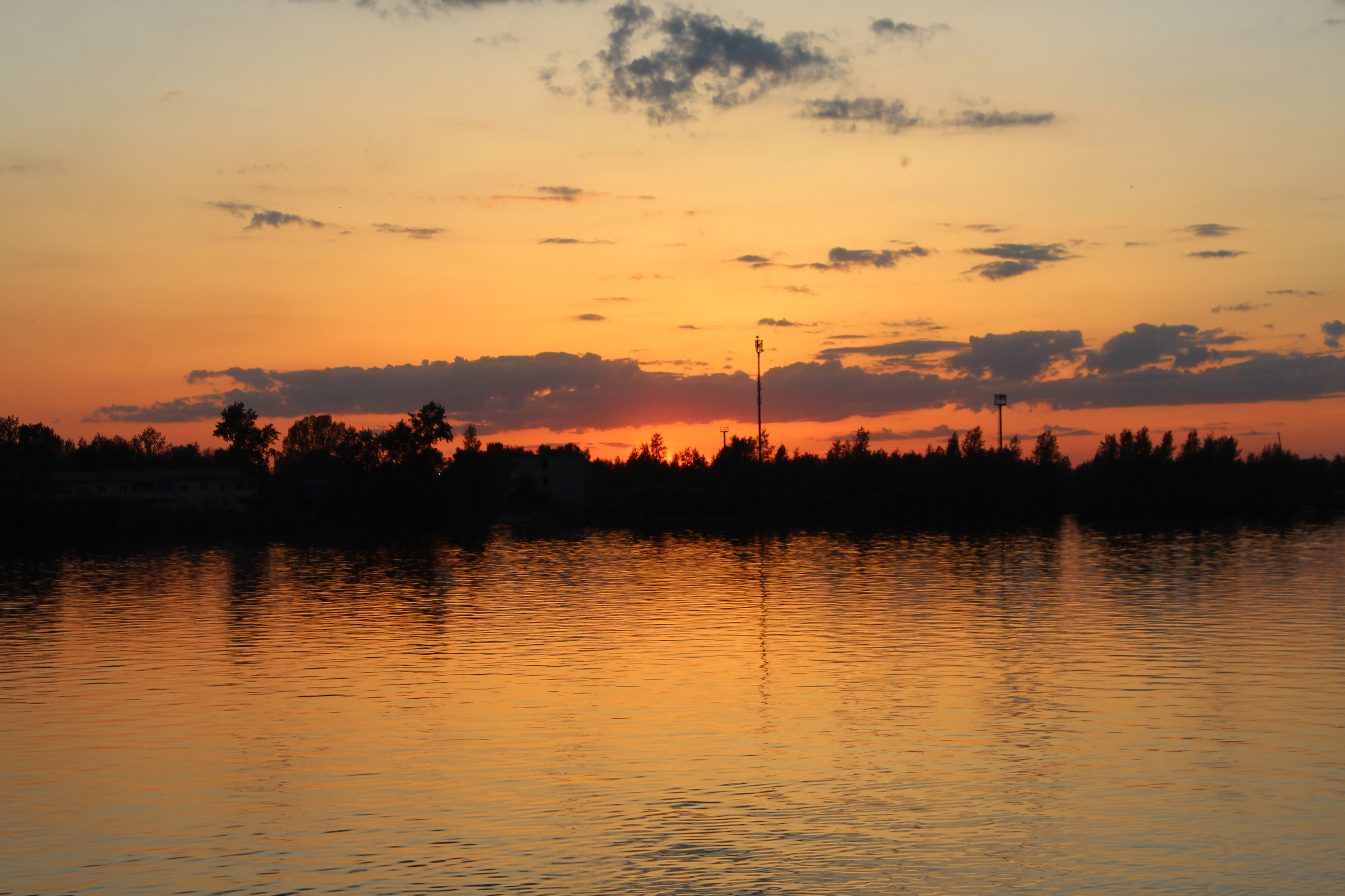 IMG_6546.jpg