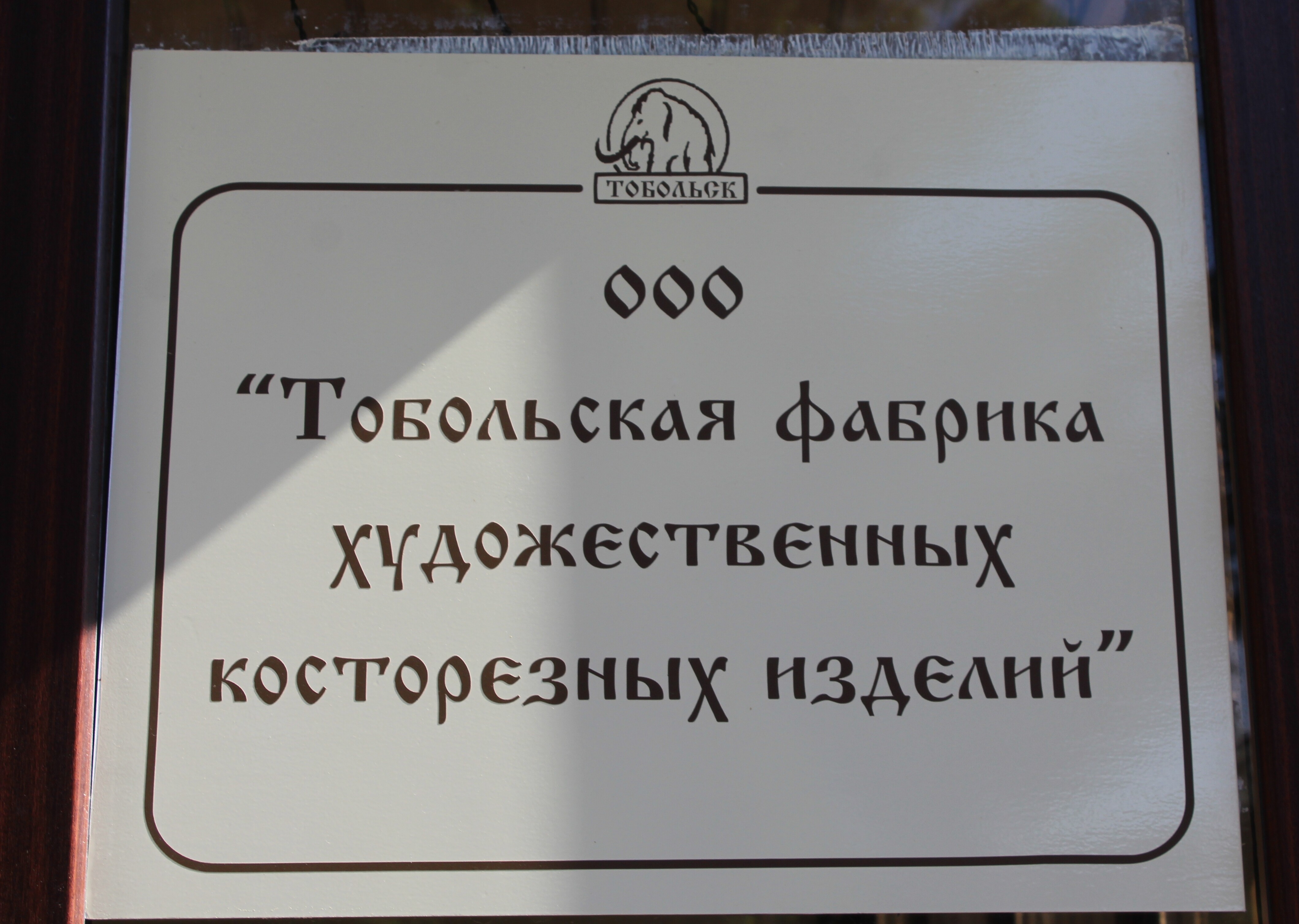 IMG_6627.jpg