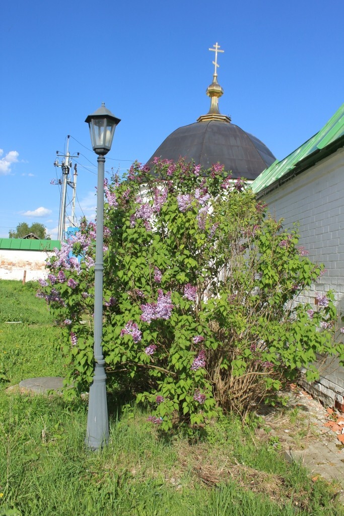 IMG_6733.jpg