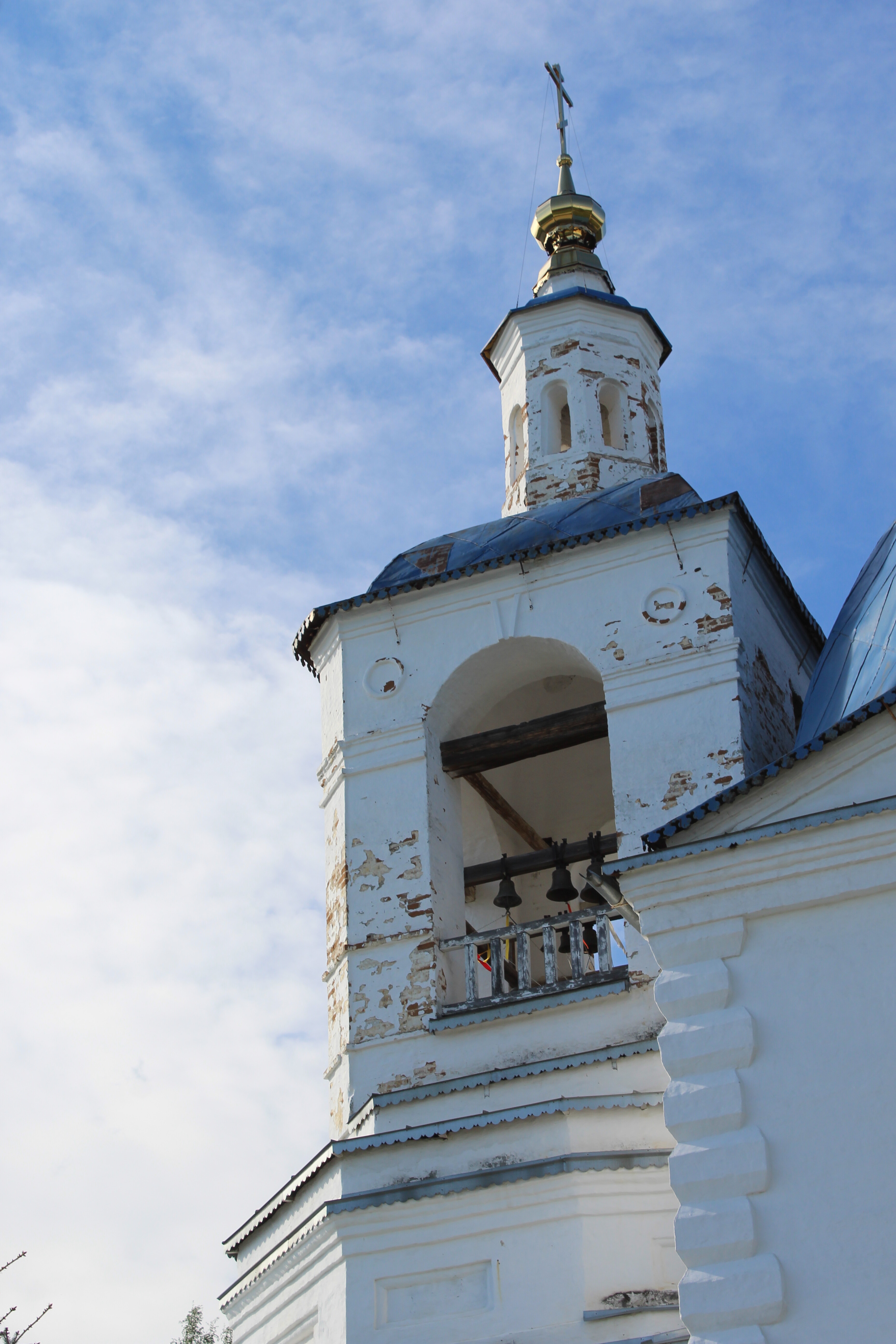 IMG_6742.jpg