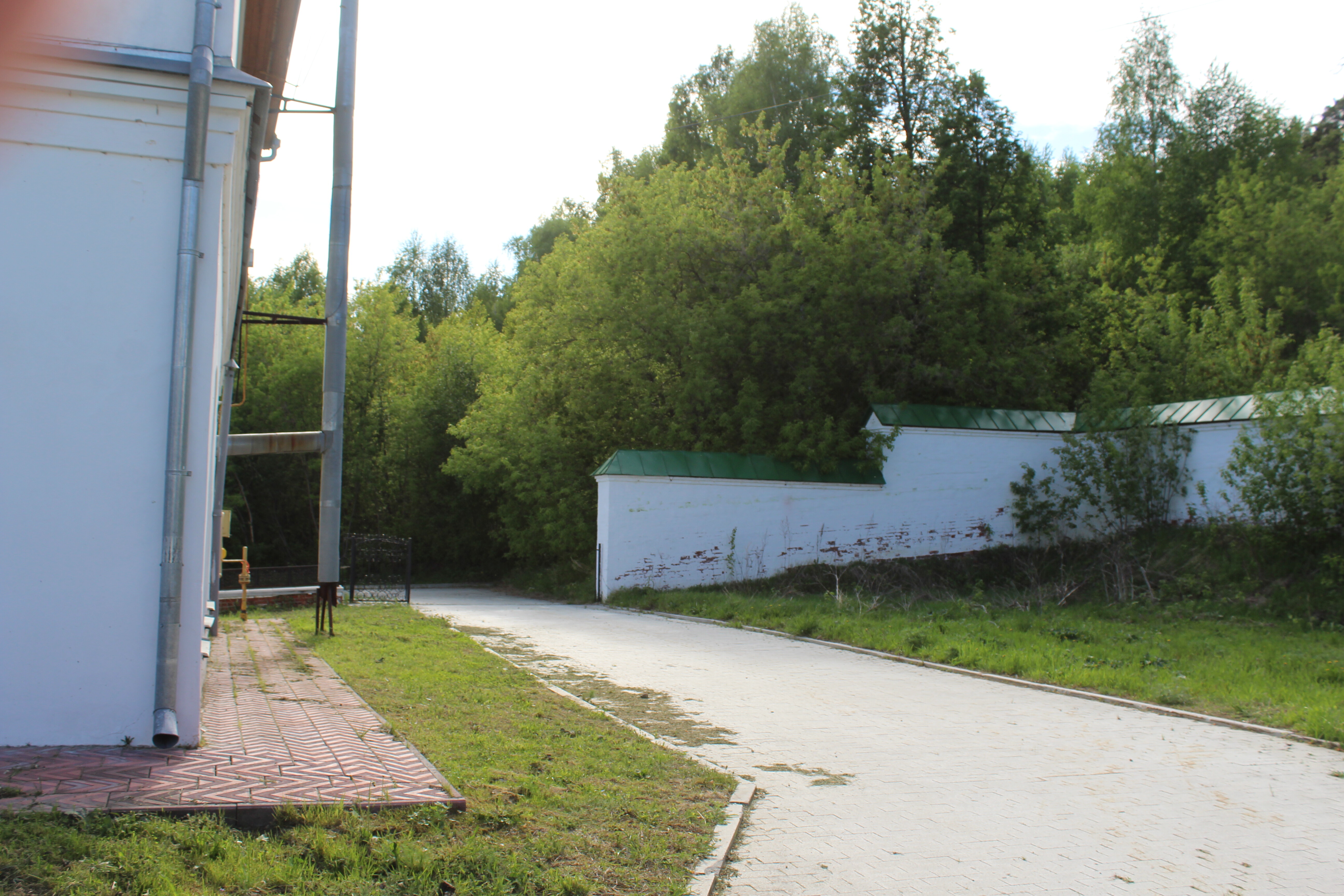 IMG_6751.jpg