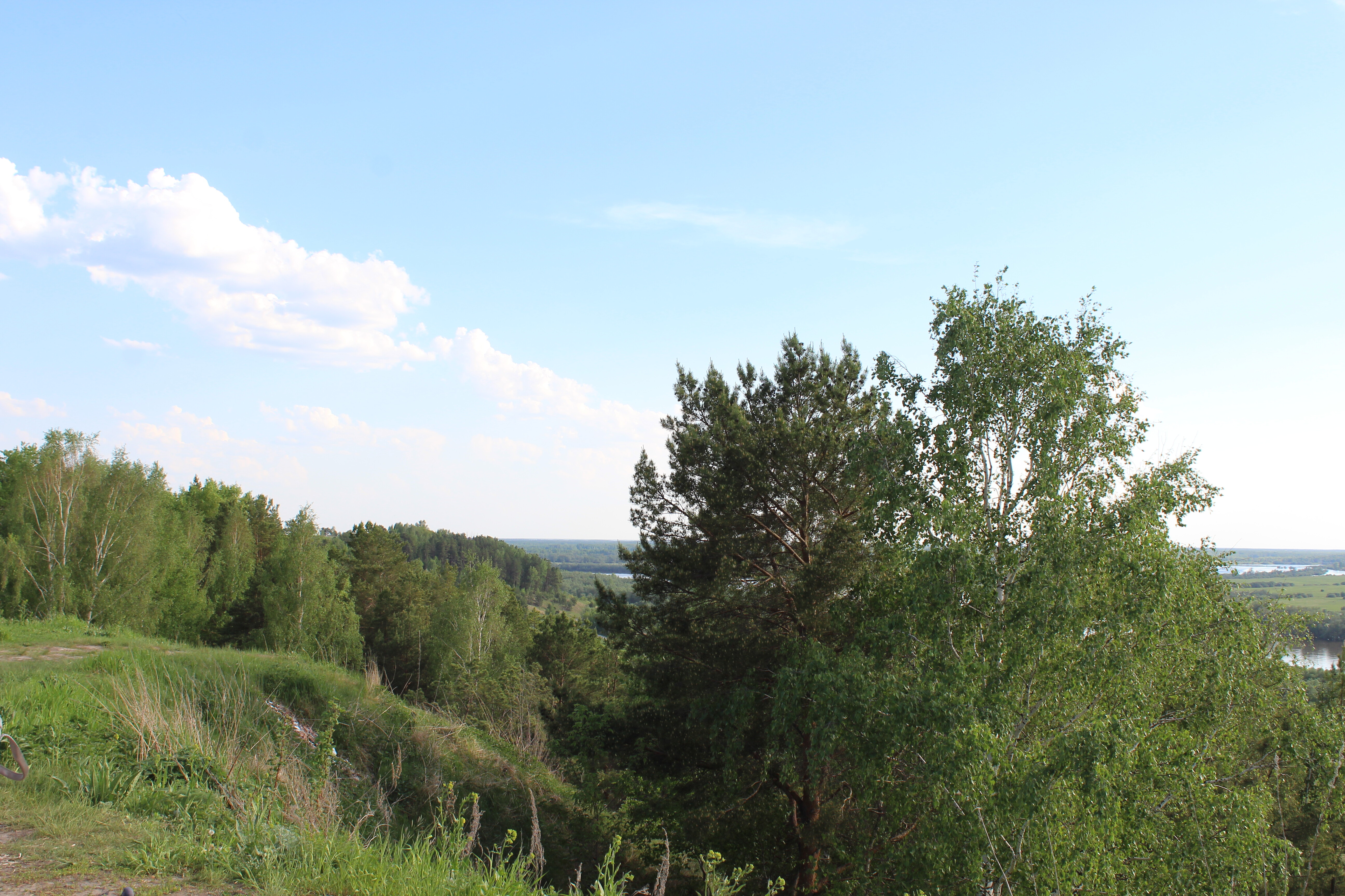 IMG_6761.jpg