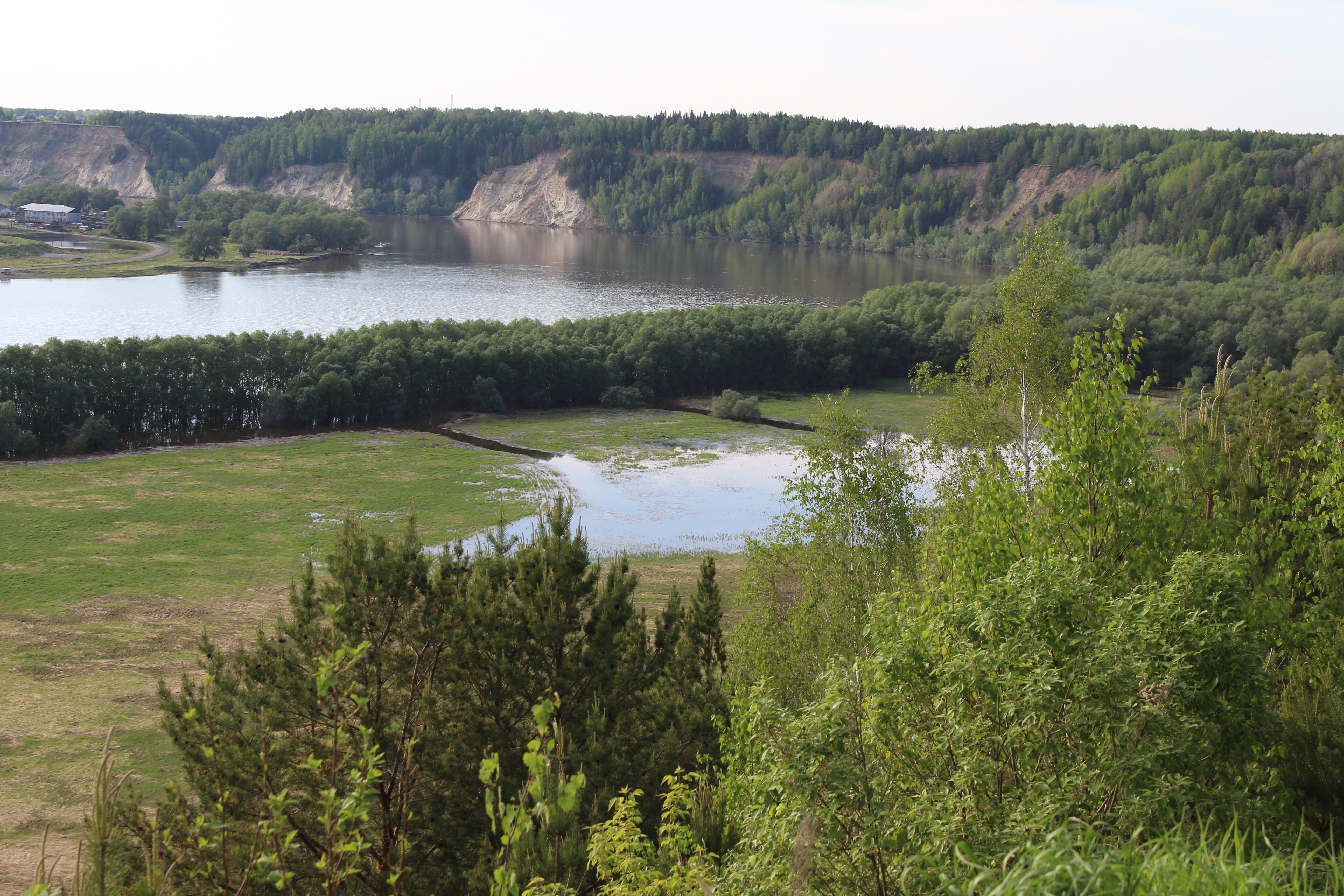 IMG_6762.jpg
