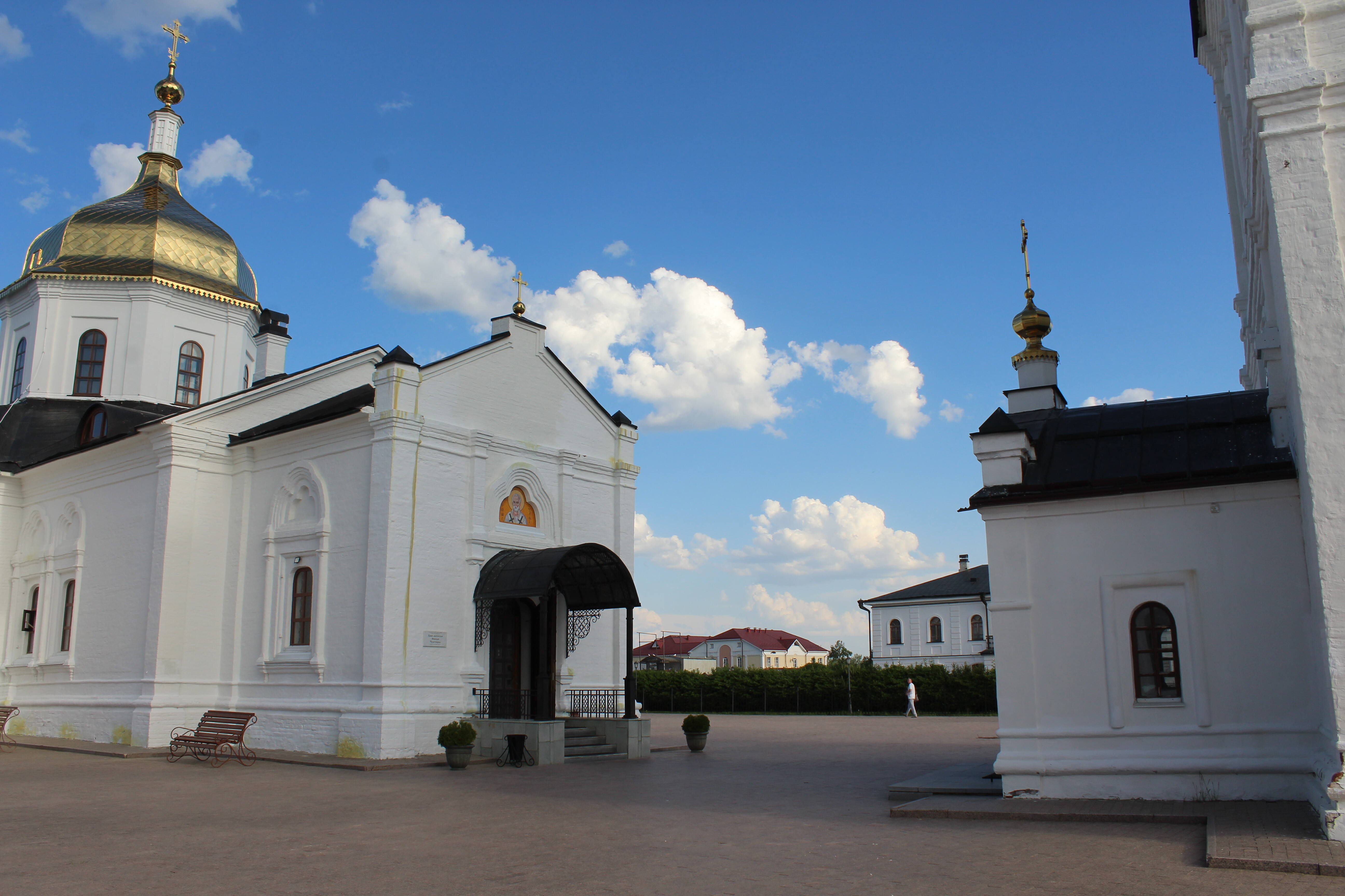 IMG_6768.jpg