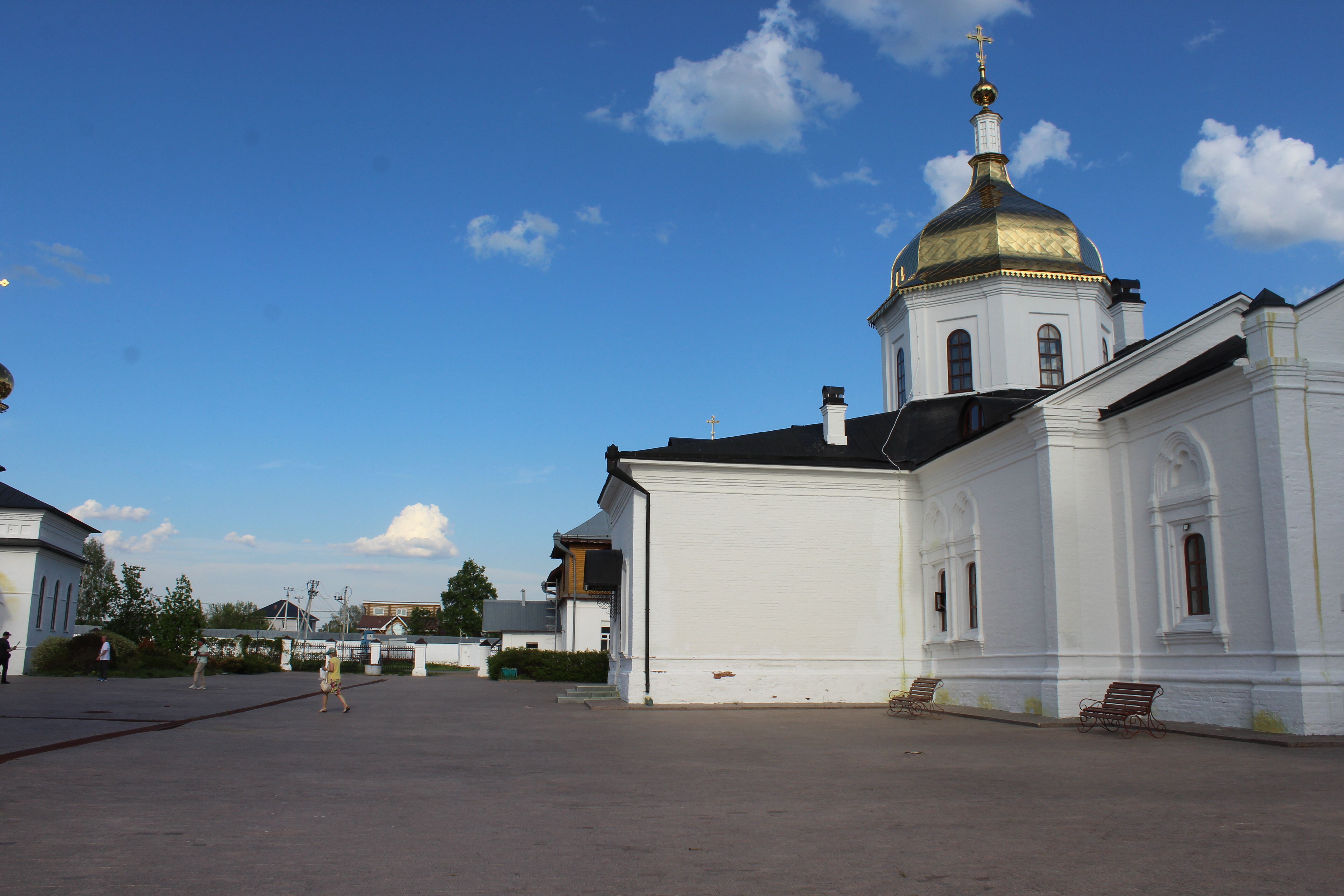 IMG_6769.jpg
