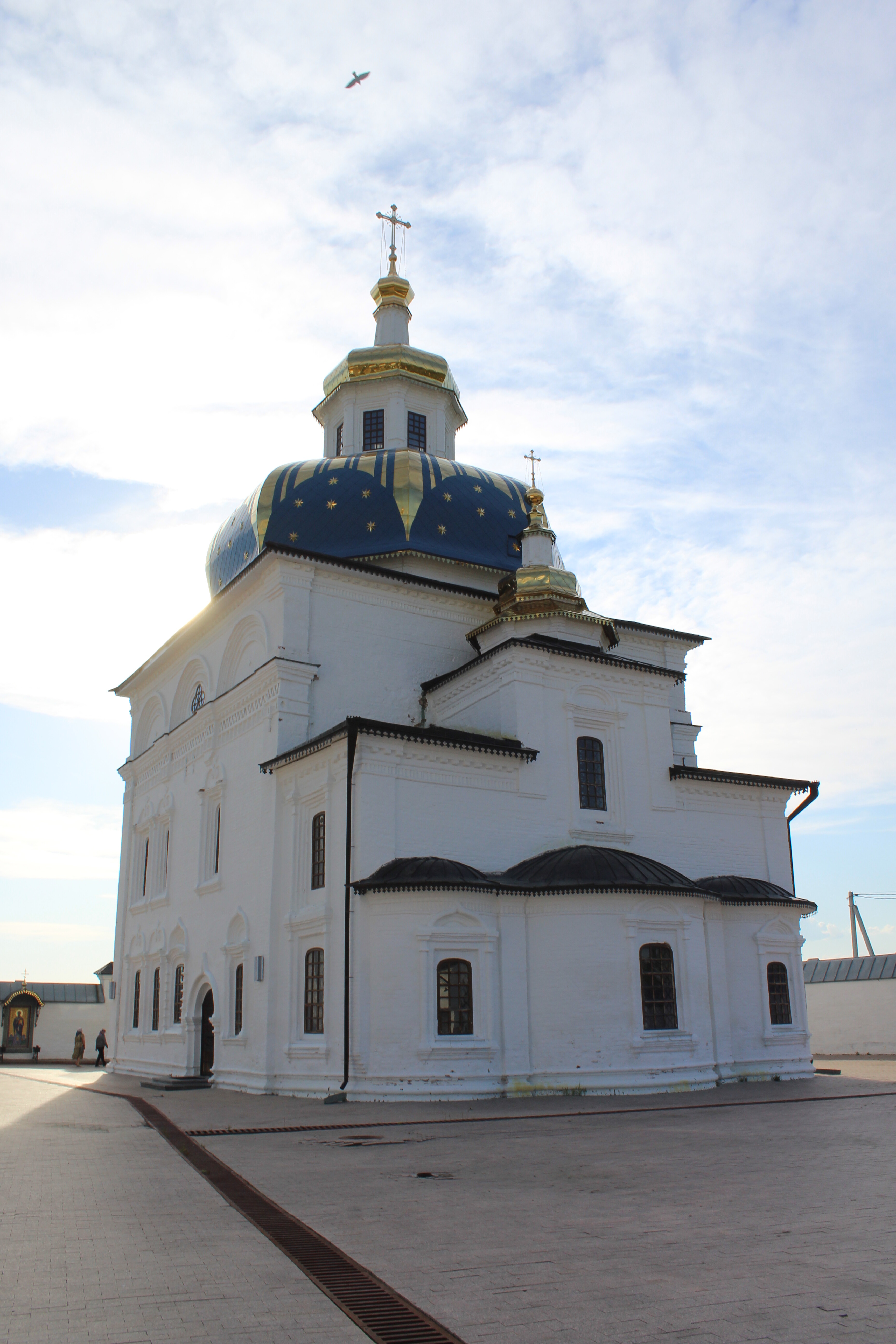 IMG_6775.jpg