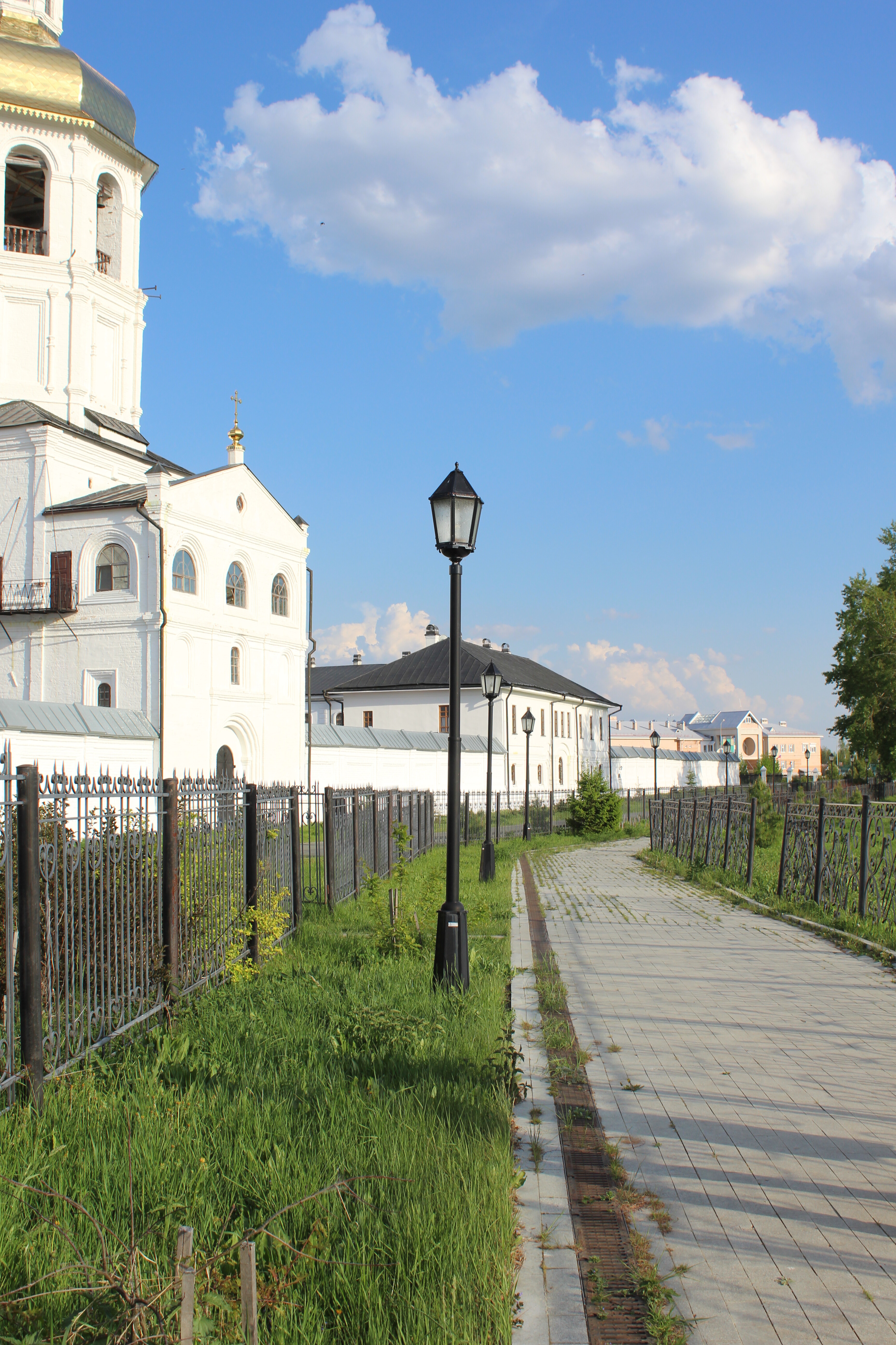 IMG_6777.jpg