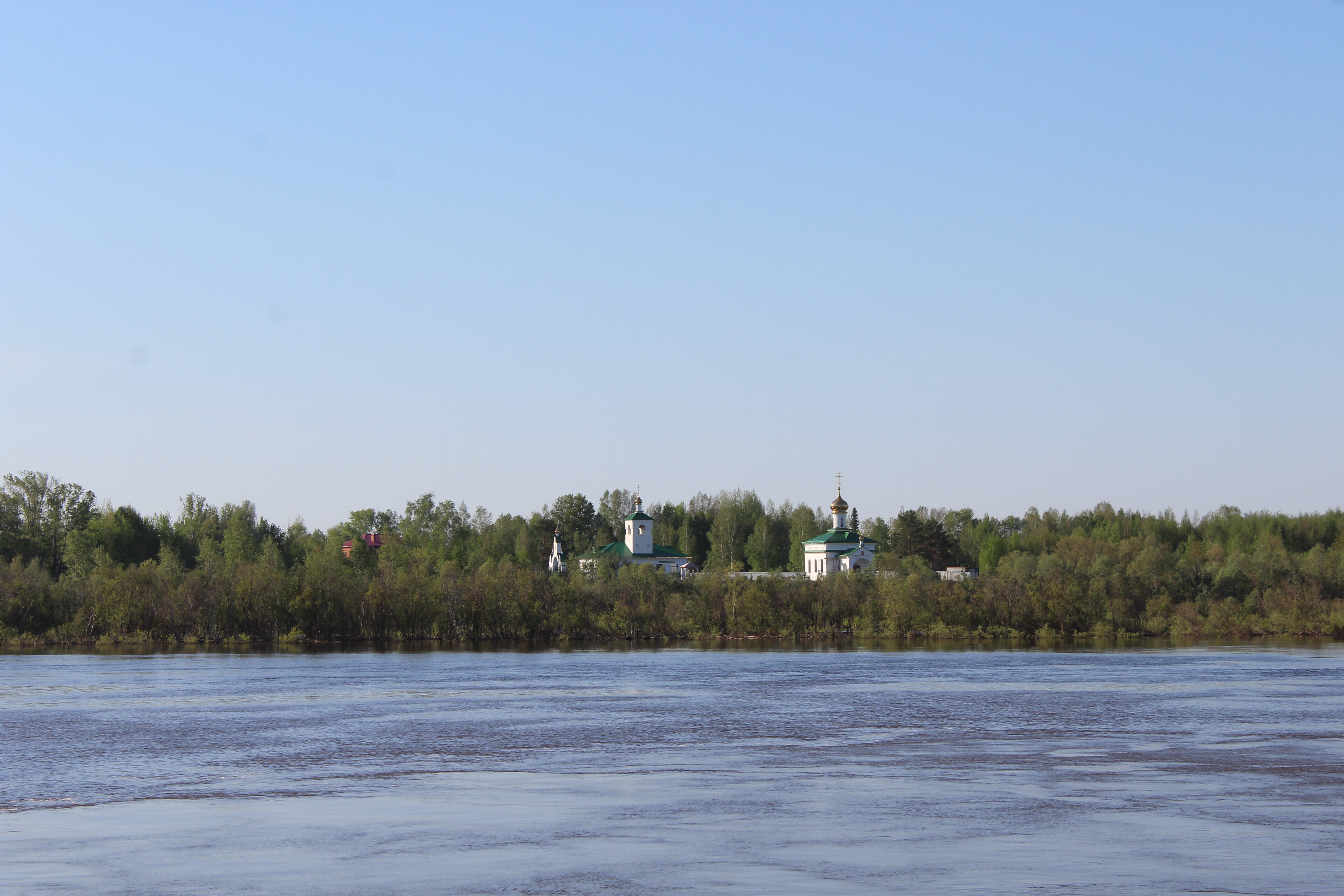 IMG_6835.jpg