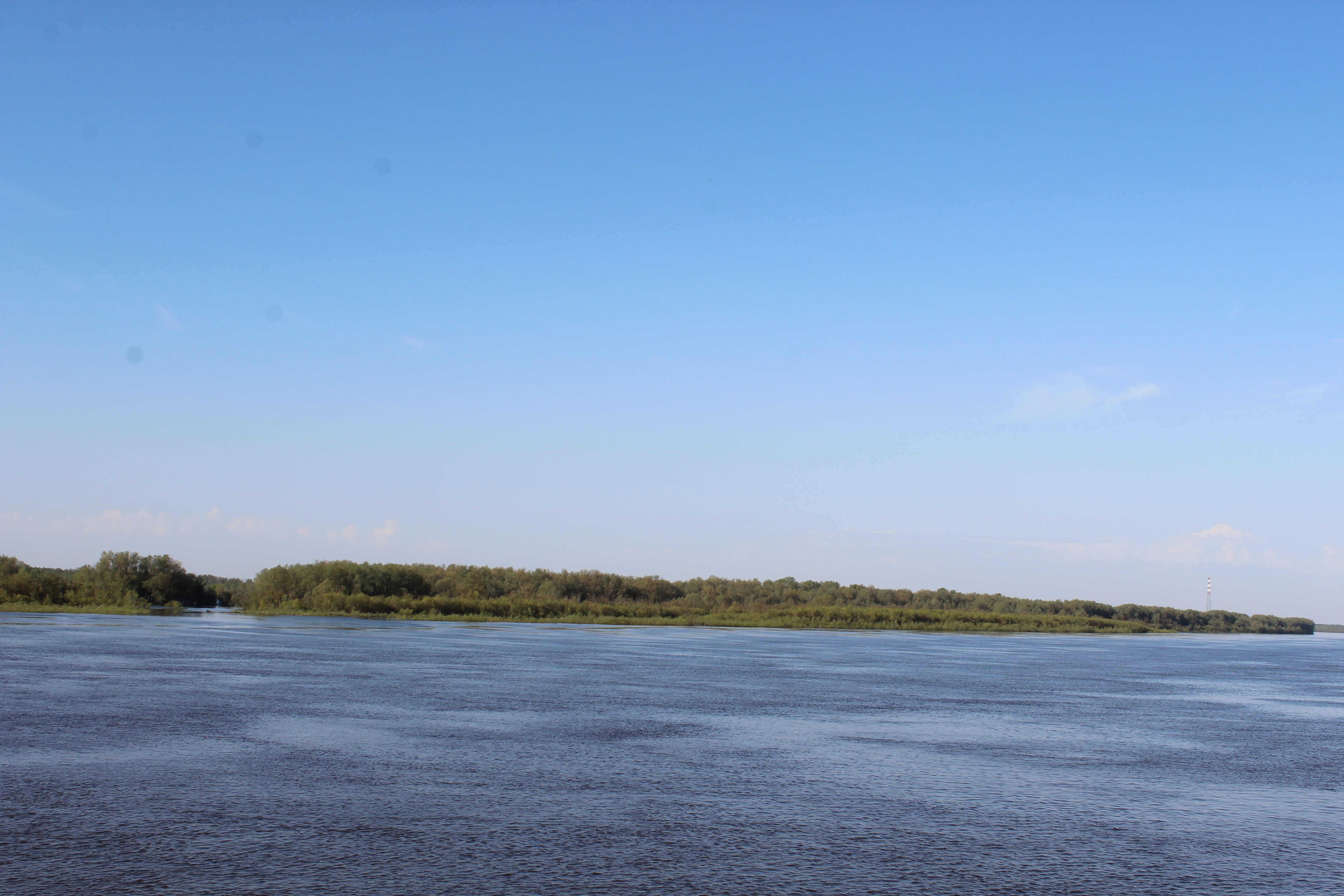 IMG_6836.jpg