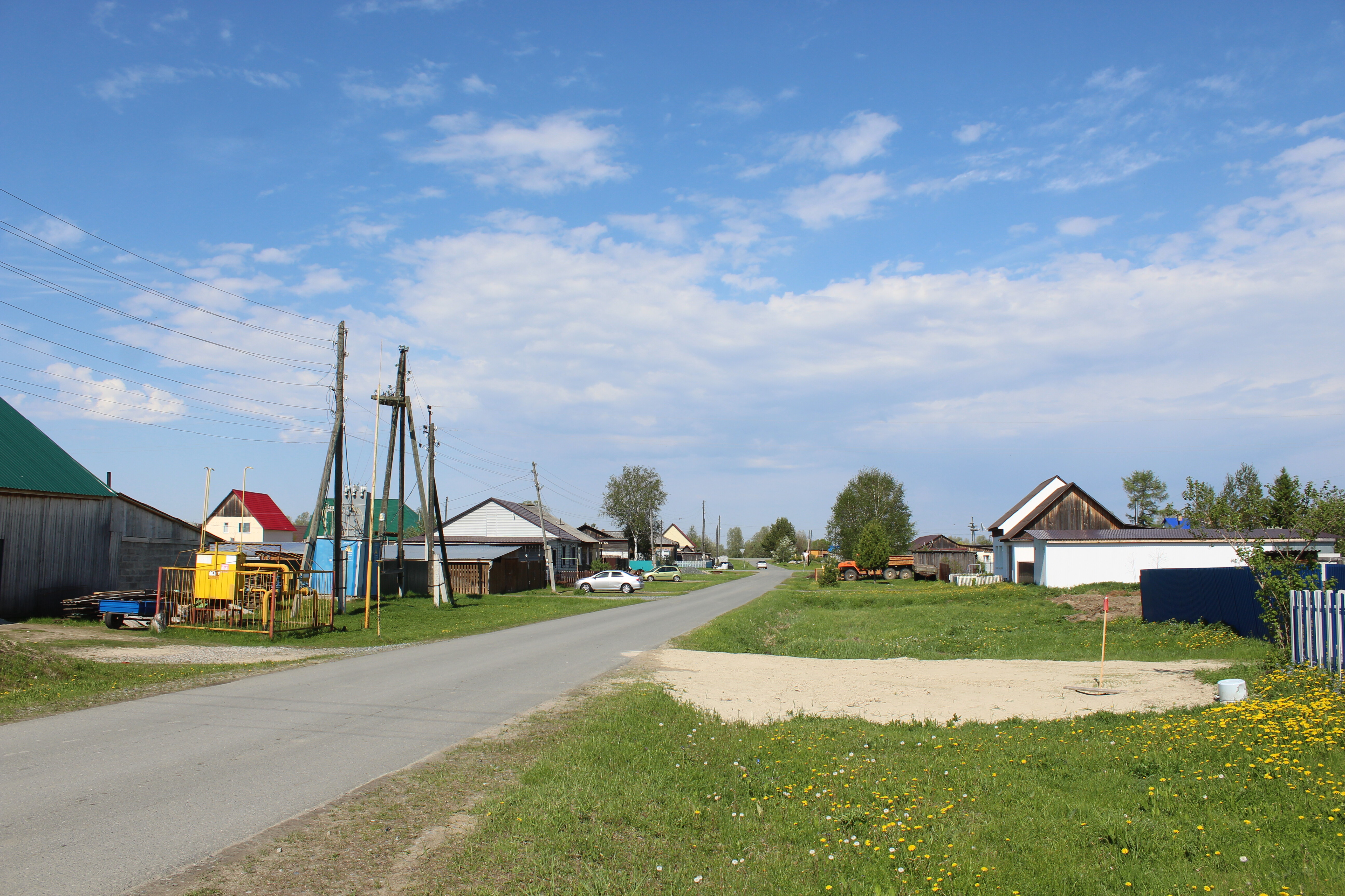 IMG_6849.jpg