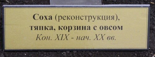 IMG_6942.md.jpg