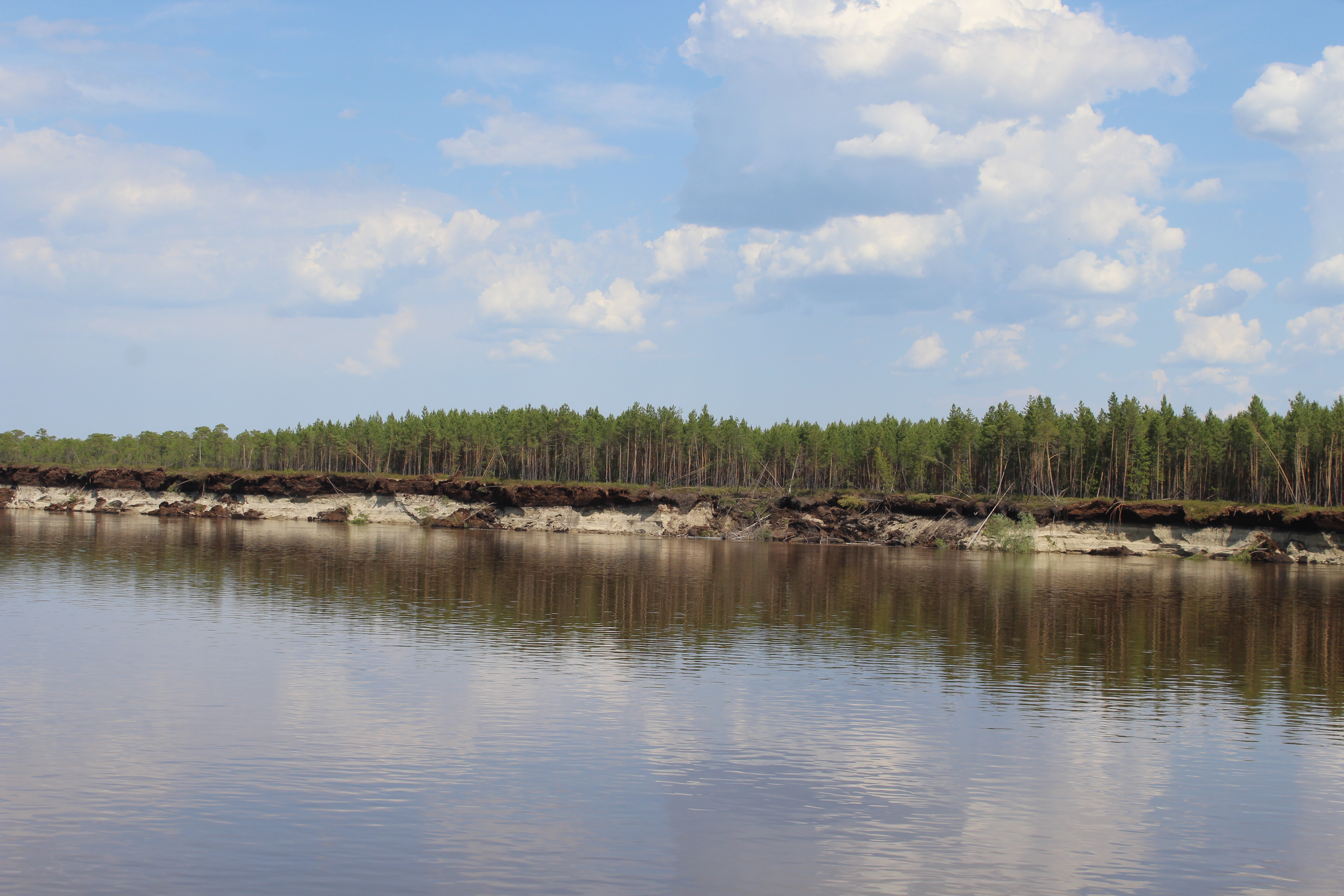 IMG_7079.jpg