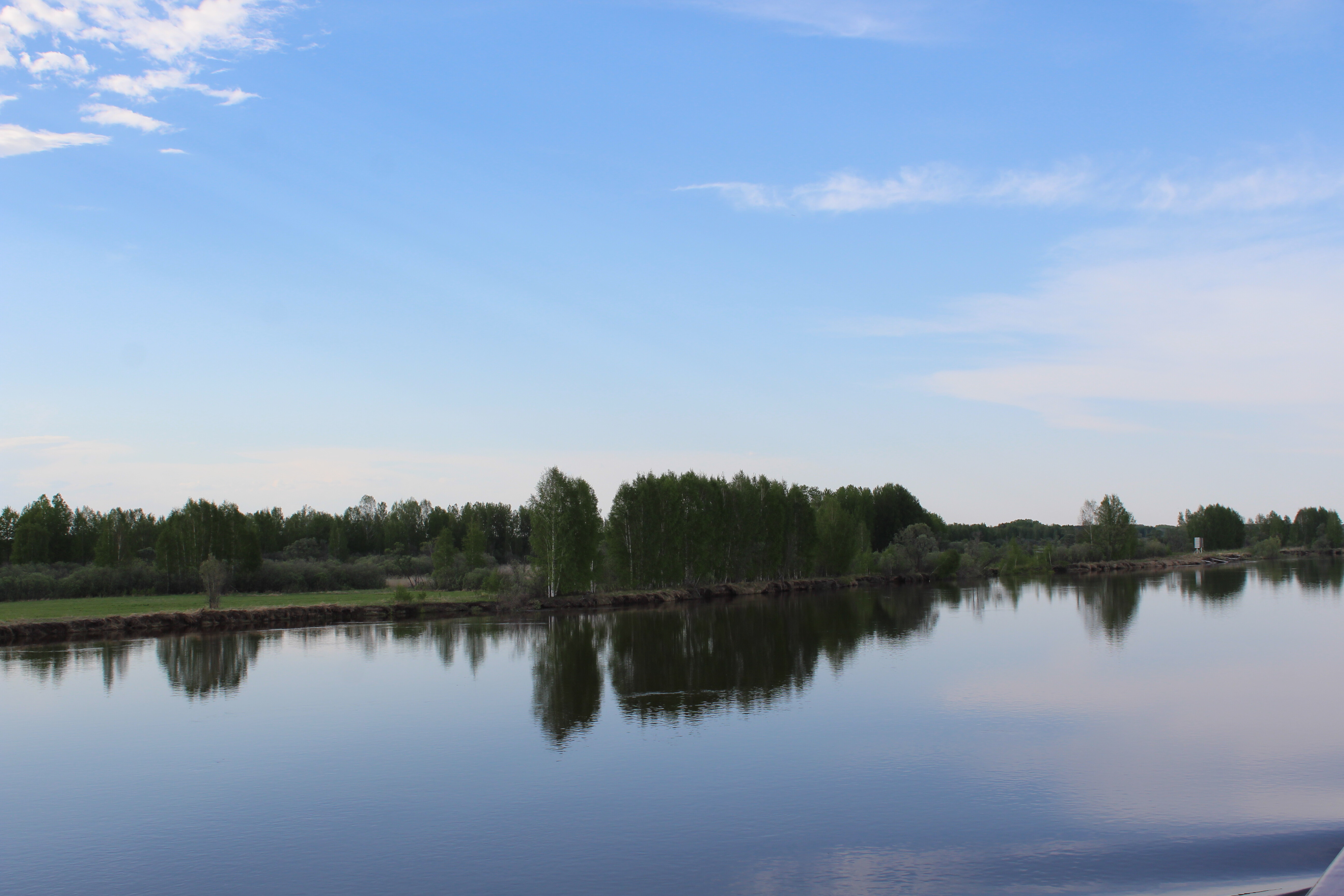 IMG_7089.jpg