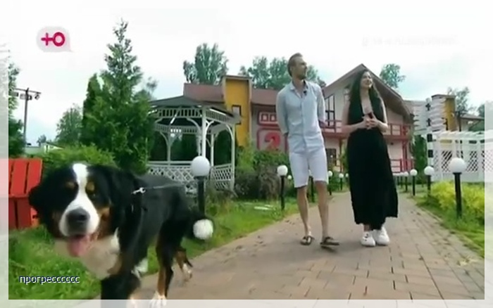 https://e.radikal.host/2026/06/20/037.jpg