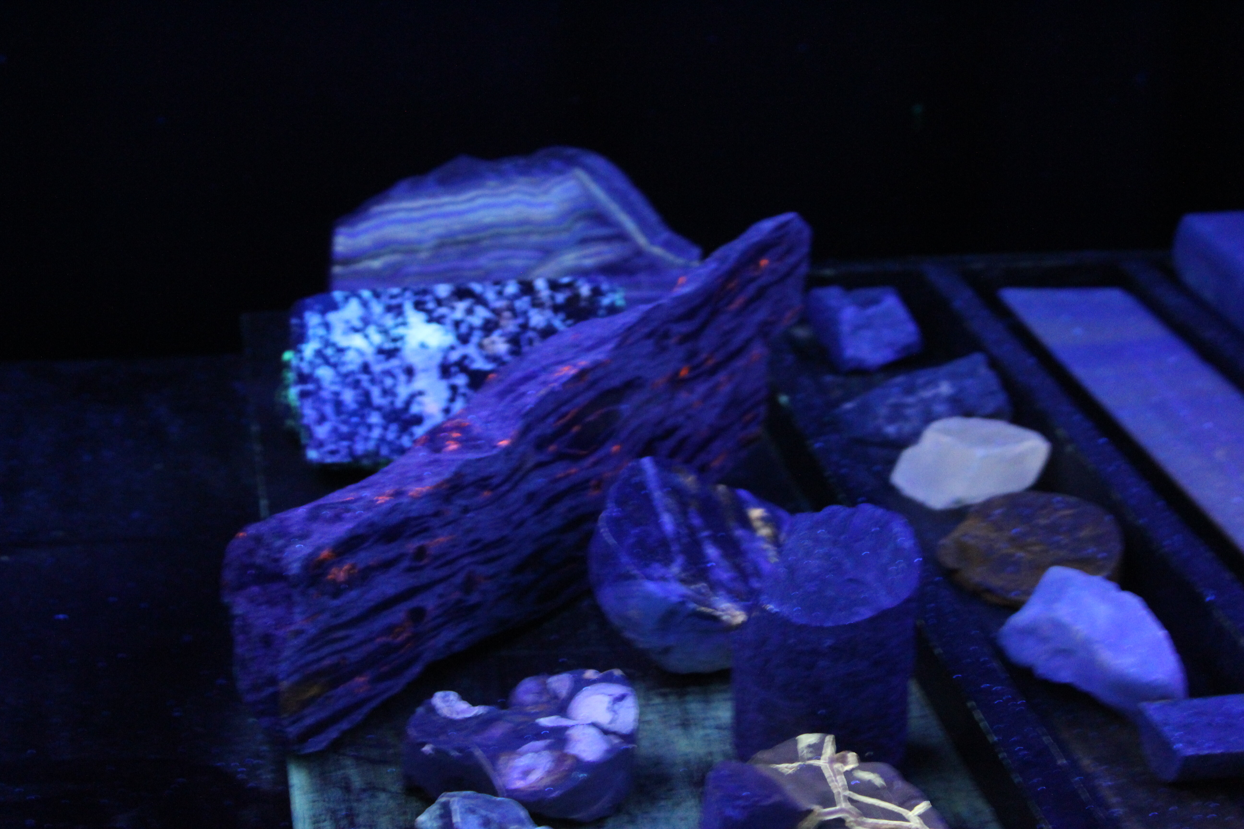 IMG_7173.jpg