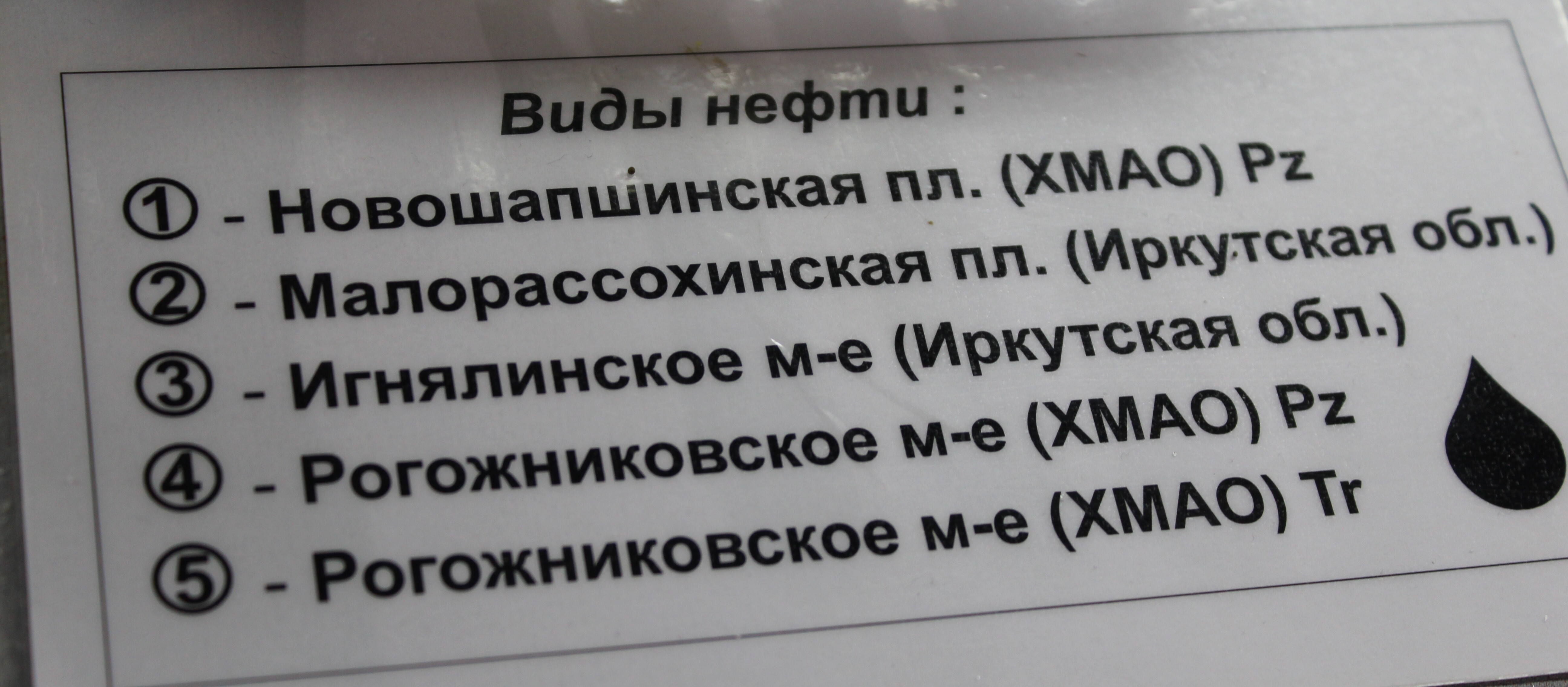 IMG_7194.jpg