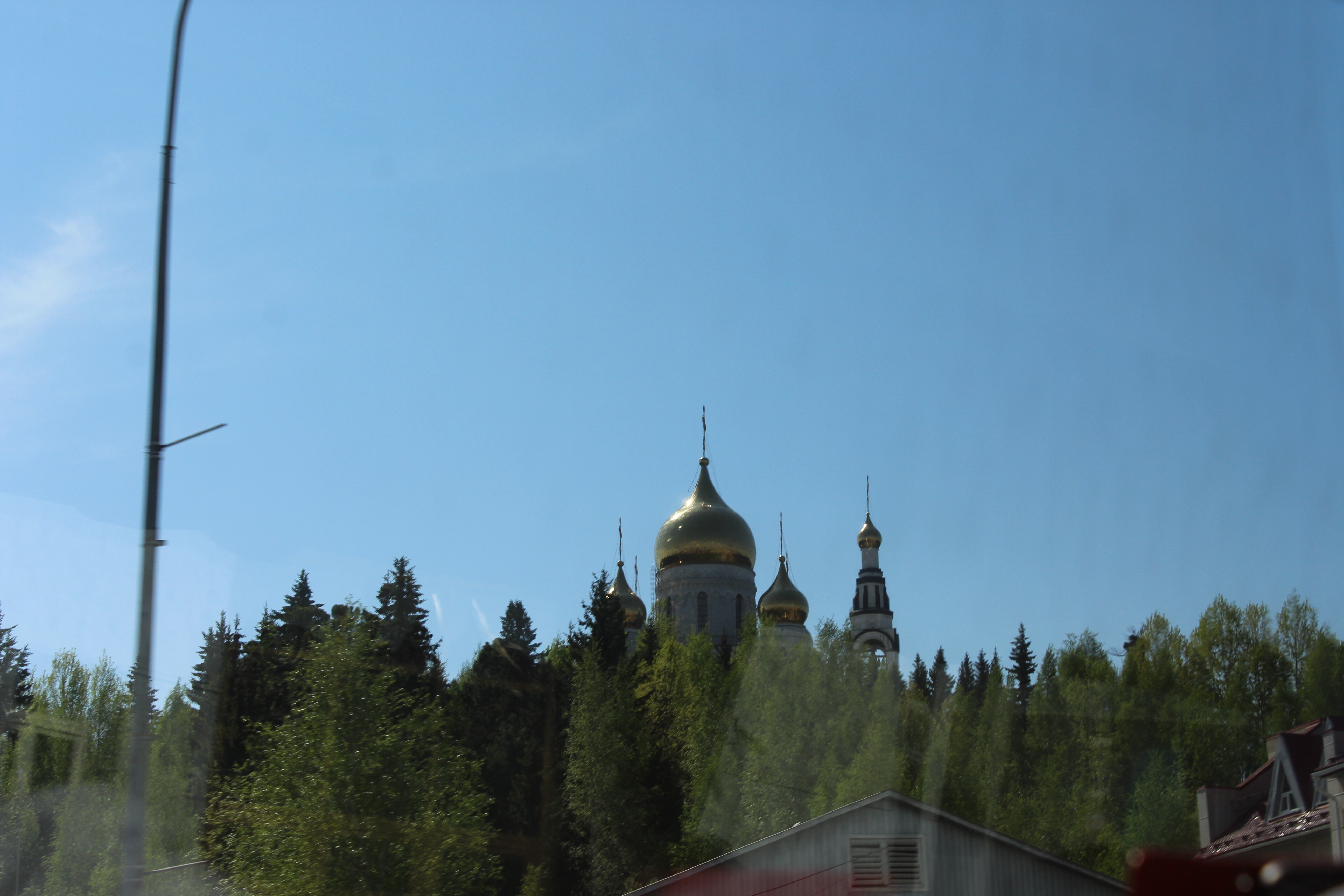 IMG_7220.jpg