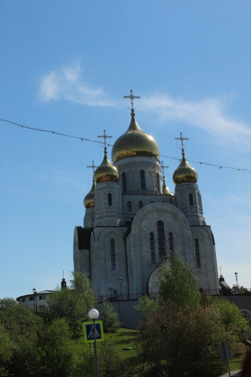 IMG_7222.md.jpg