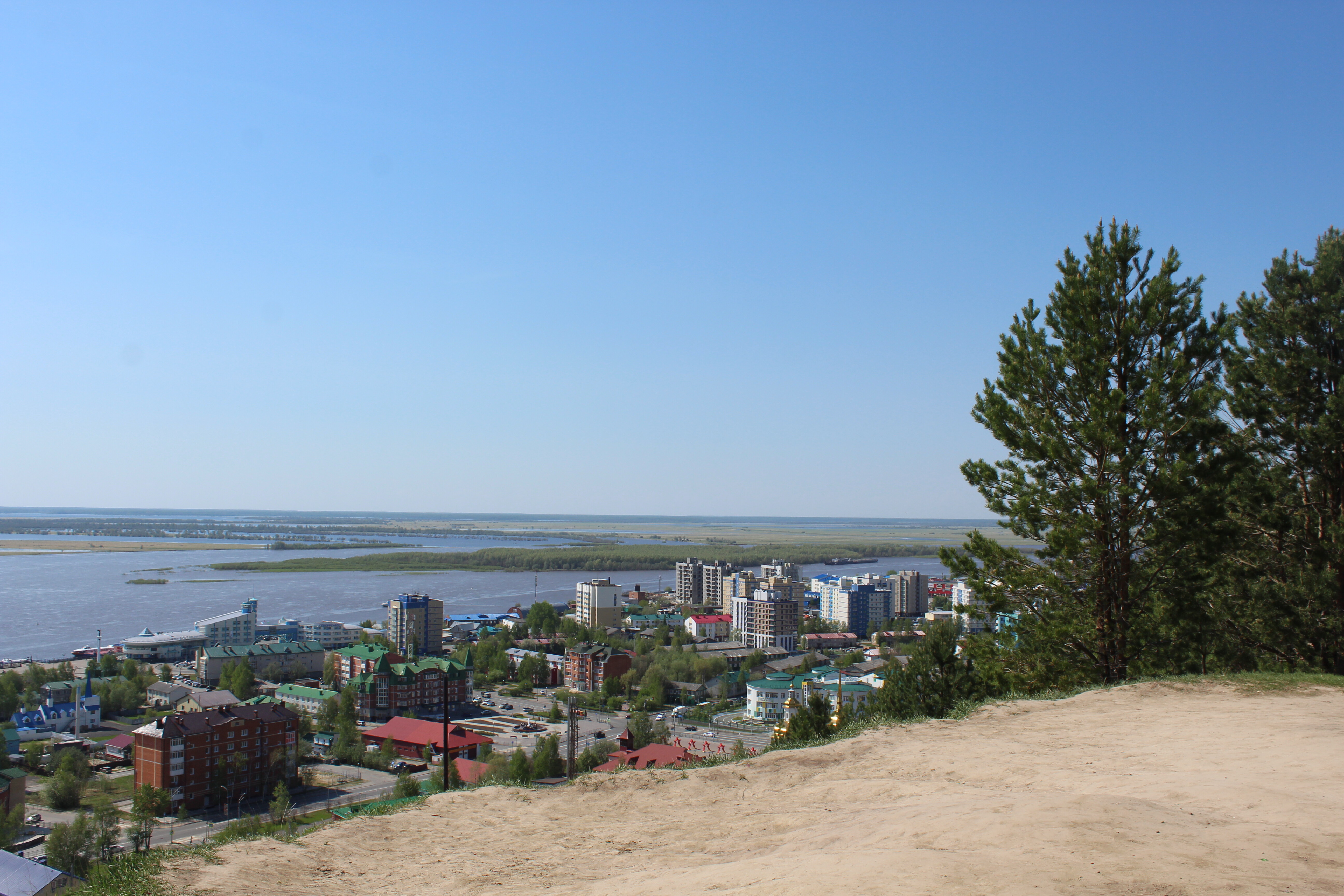 IMG_7229.jpg