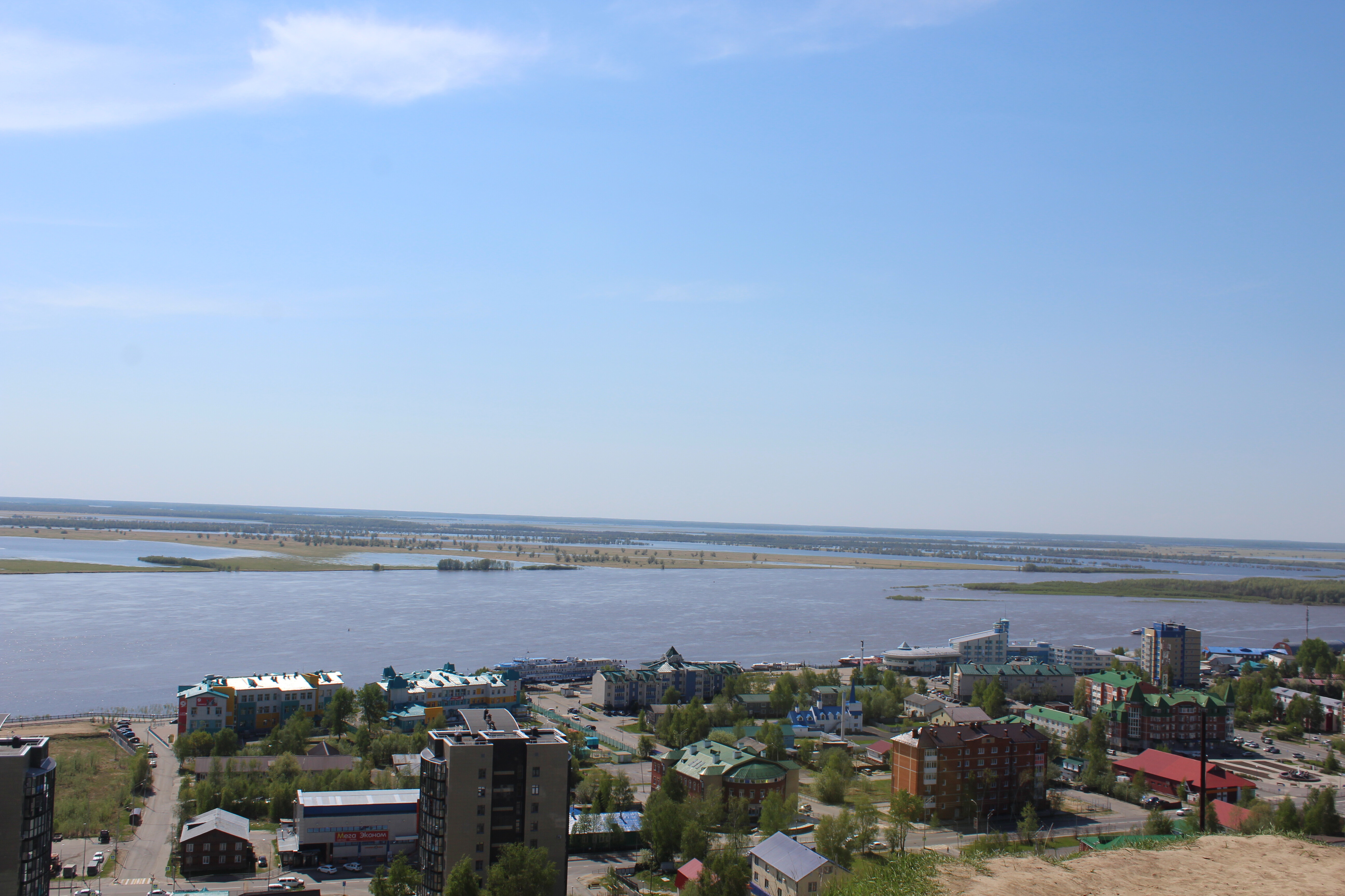 IMG_7230.jpg