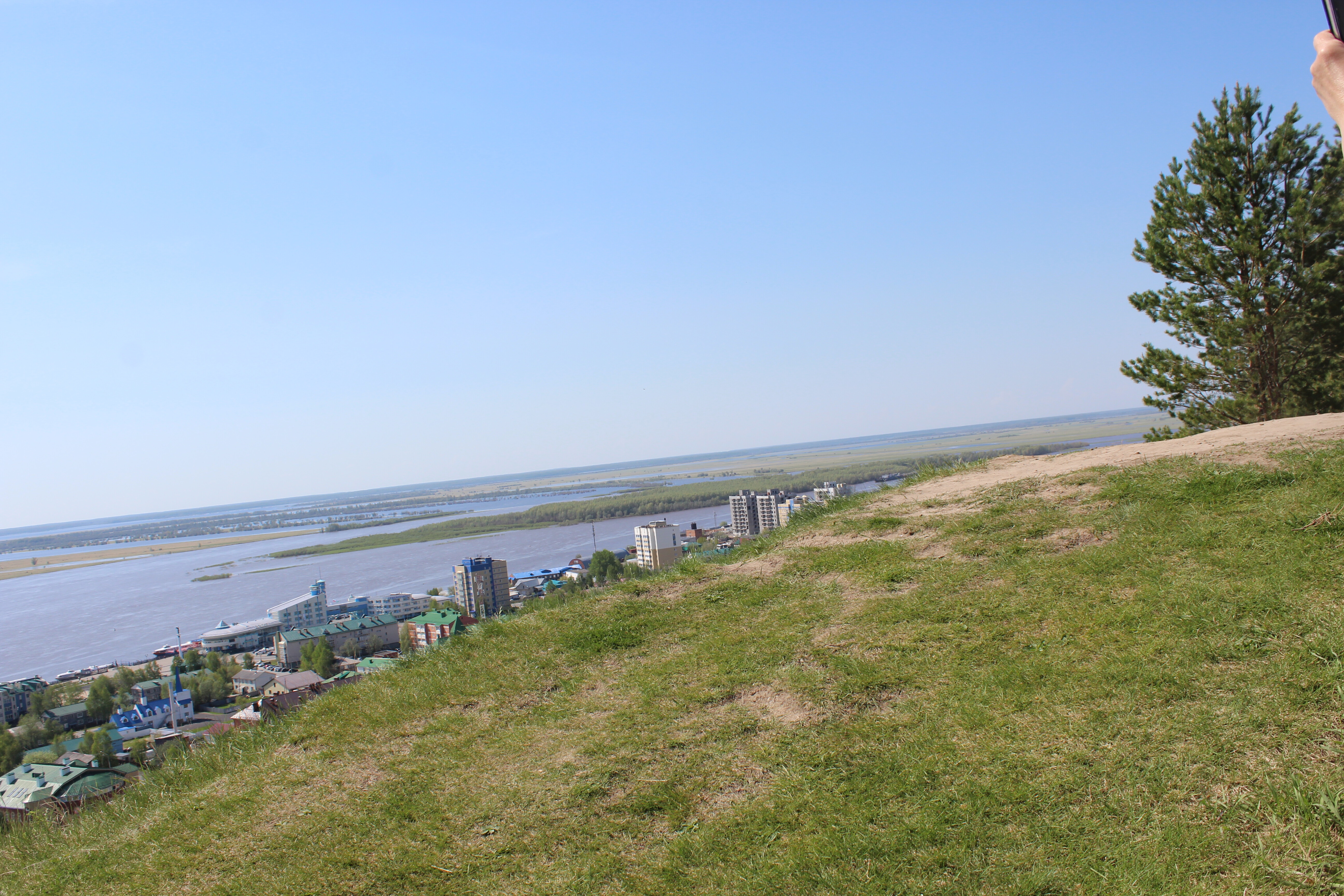 IMG_7232.jpg
