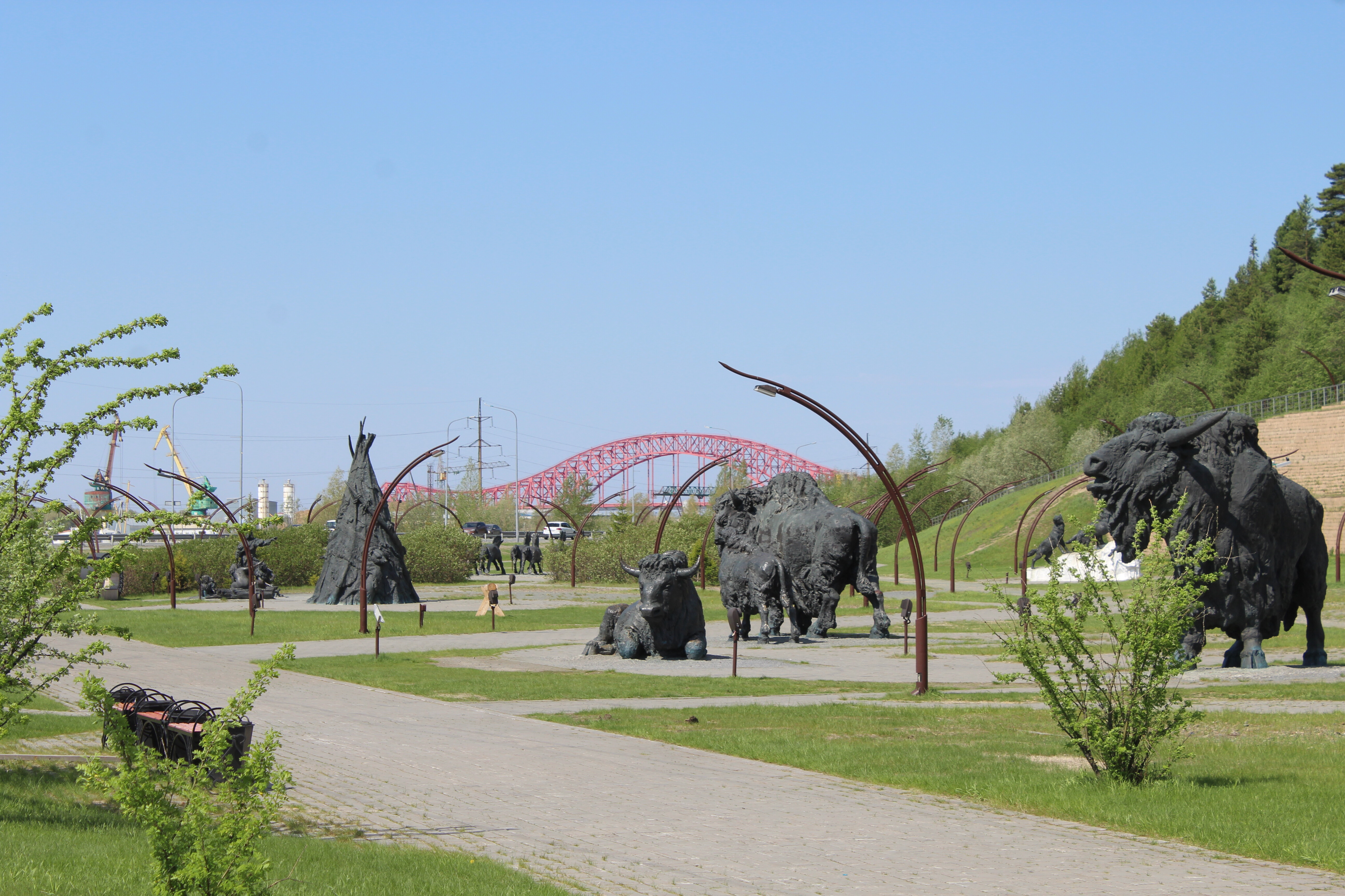 IMG_7242.jpg