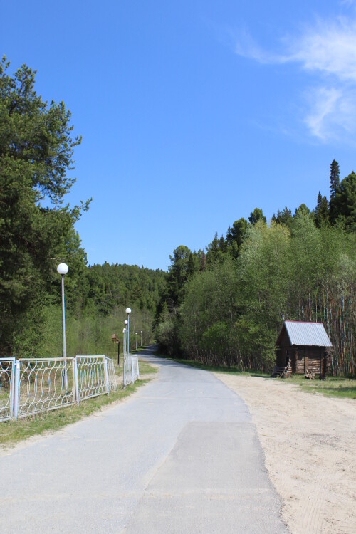 IMG_7244.md.jpg