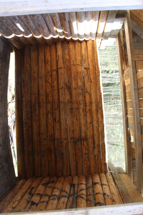 IMG_7246.md.jpg