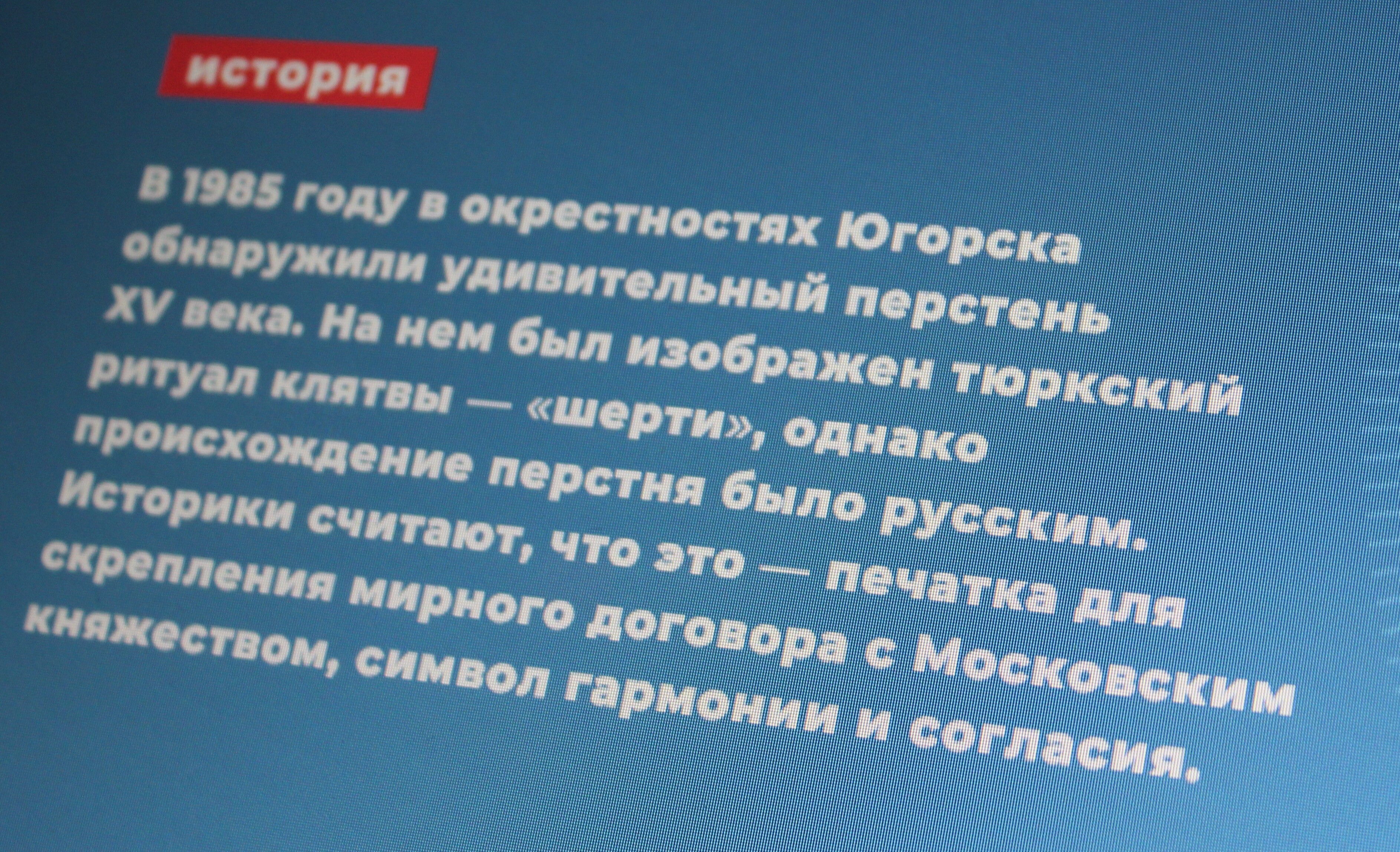 IMG_7288.jpg