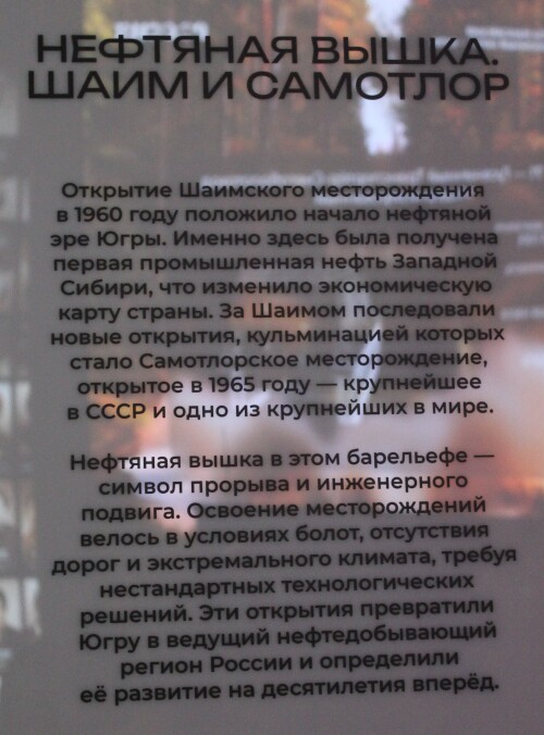 IMG_7317.md.jpg
