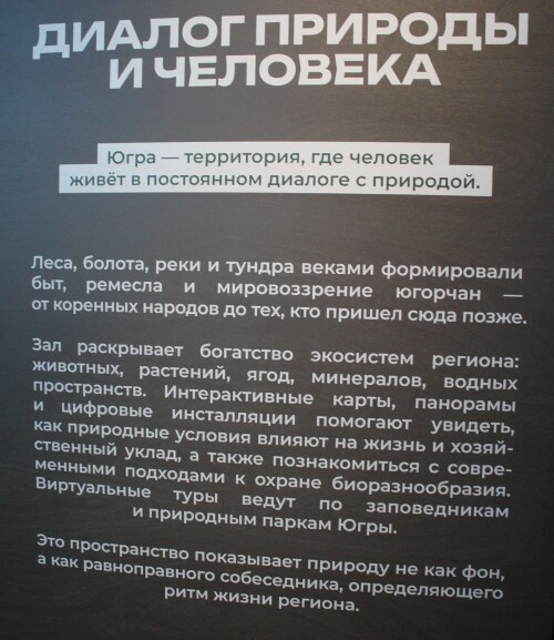 IMG_7319.md.jpg