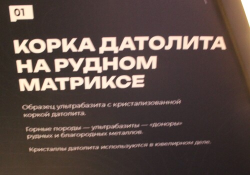 IMG_7334.md.jpg