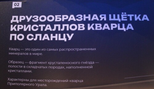 IMG_7336.md.jpg