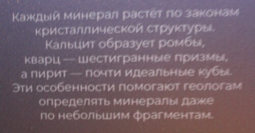 IMG_7339.md.jpg
