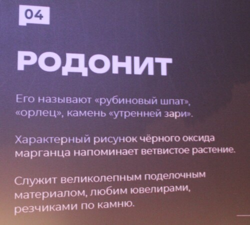 IMG_7341.md.jpg