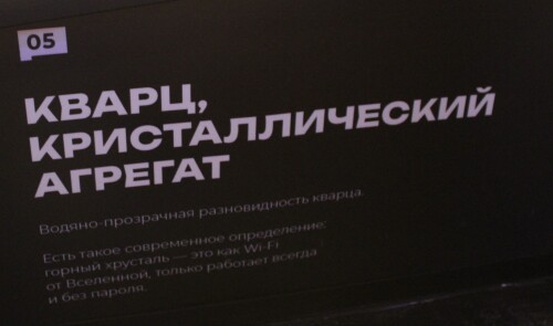 IMG_7343.md.jpg