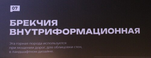 IMG_7347.md.jpg