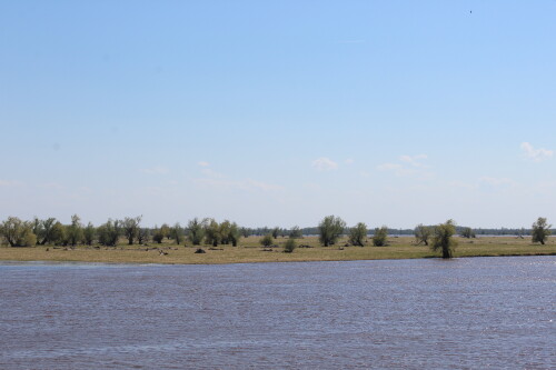 IMG_7388.md.jpg