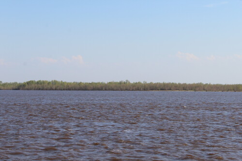 IMG_7415.md.jpg