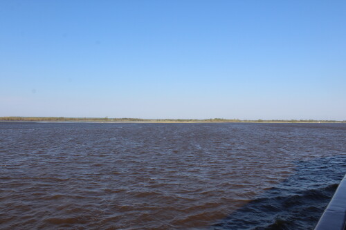 IMG_7424.md.jpg