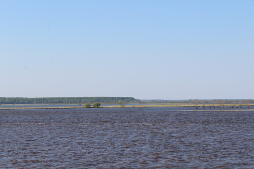 IMG_7425.md.jpg
