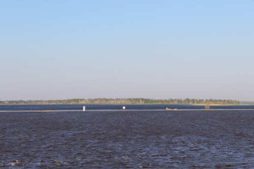 IMG_7433.md.jpg