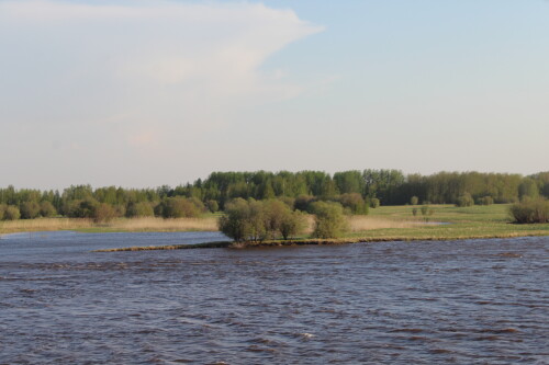 IMG_7434.md.jpg