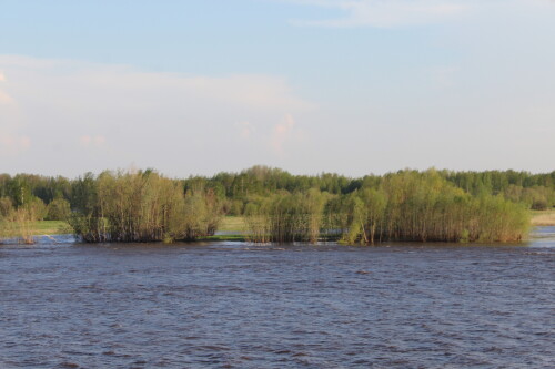 IMG_7436.md.jpg